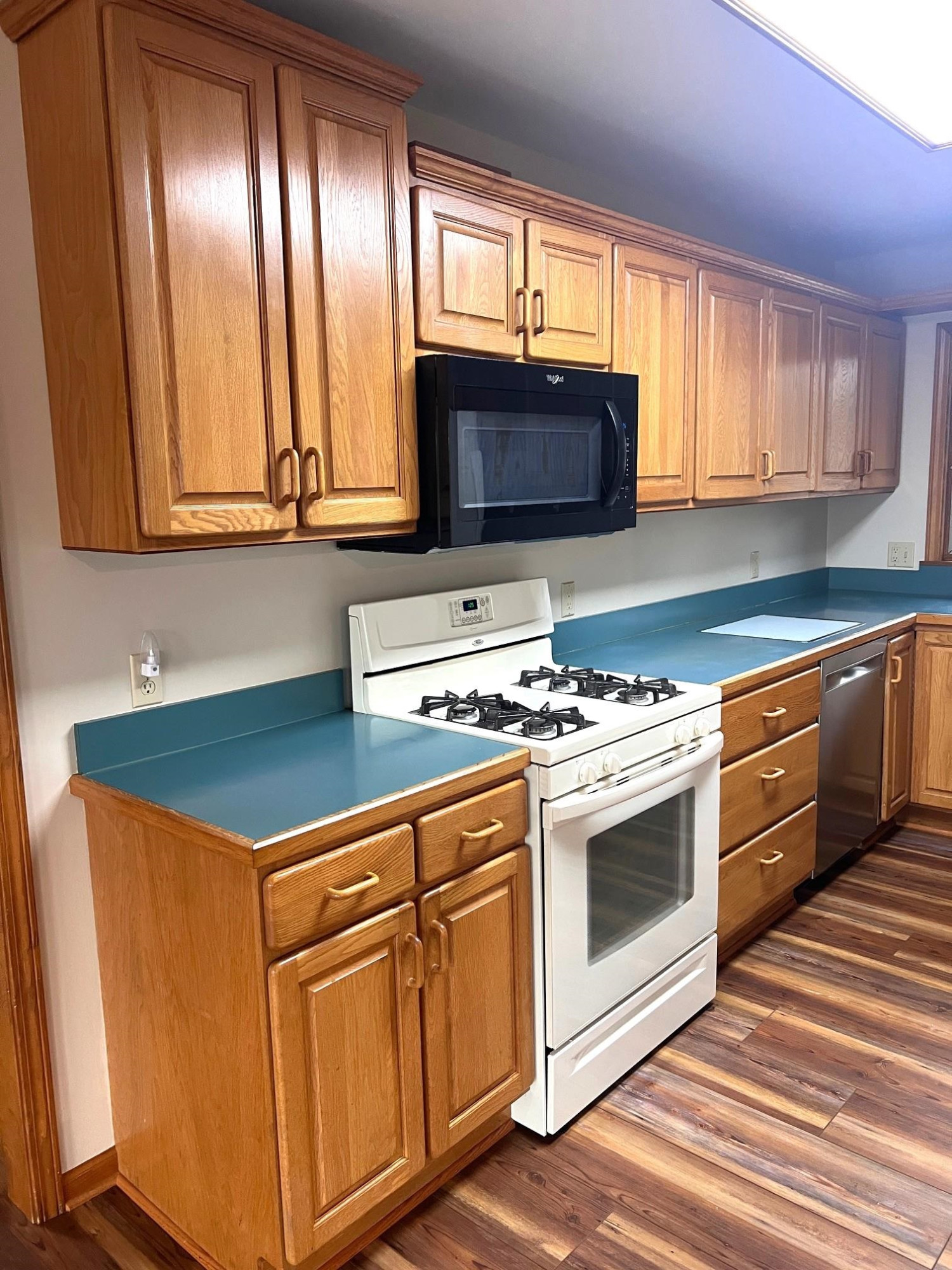 10008 M-52 Highway, Perry, MI 48872 — Photo 14