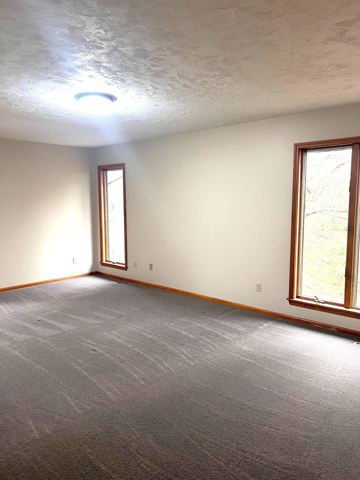 10008 M-52 Highway, Perry, MI 48872 — Photo 17