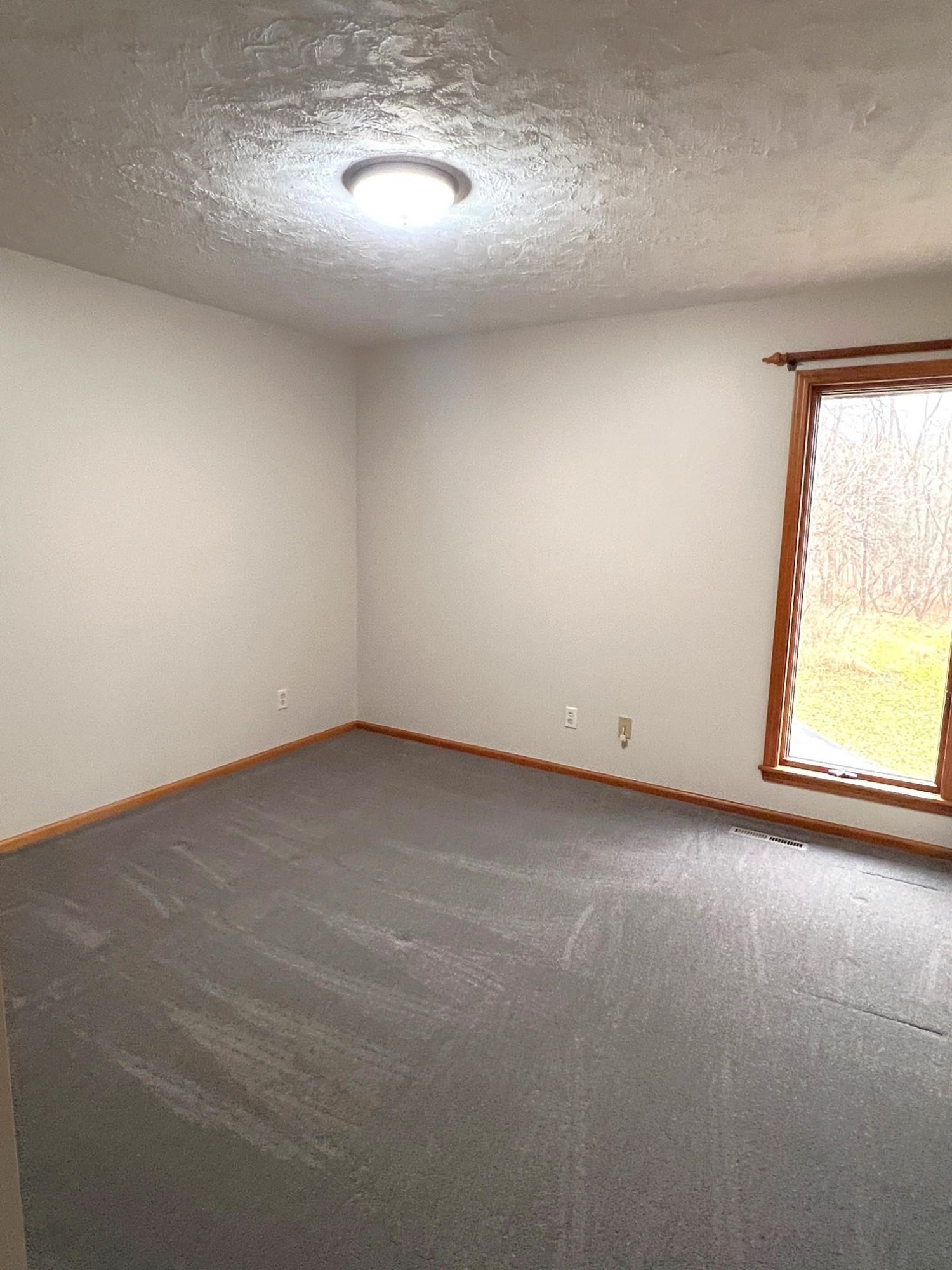 10008 M-52 Highway, Perry, MI 48872 — Photo 19