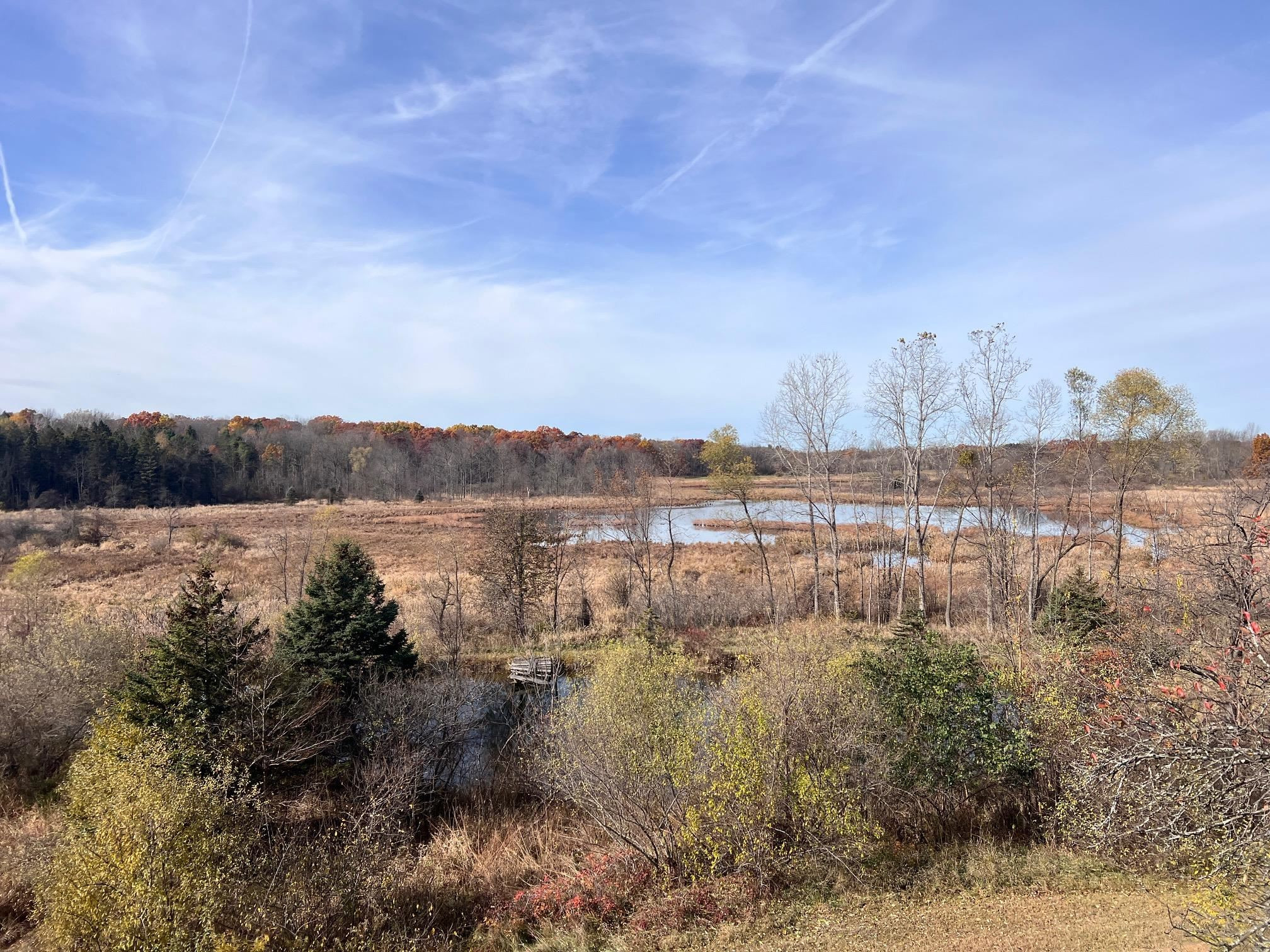 10008 M-52 Highway, Perry, MI 48872 — Photo 37