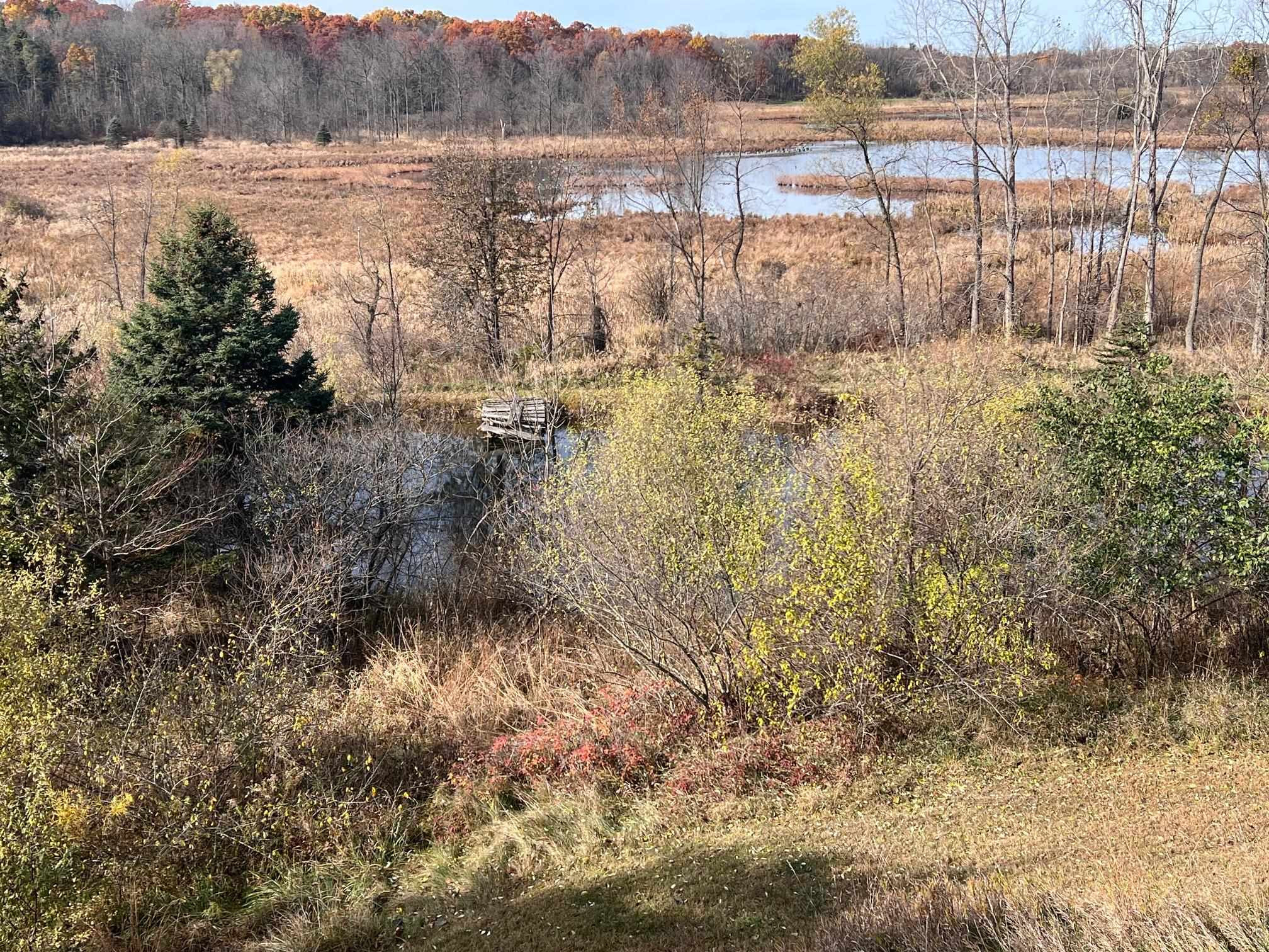 10008 M-52 Highway, Perry, MI 48872 — Photo 38