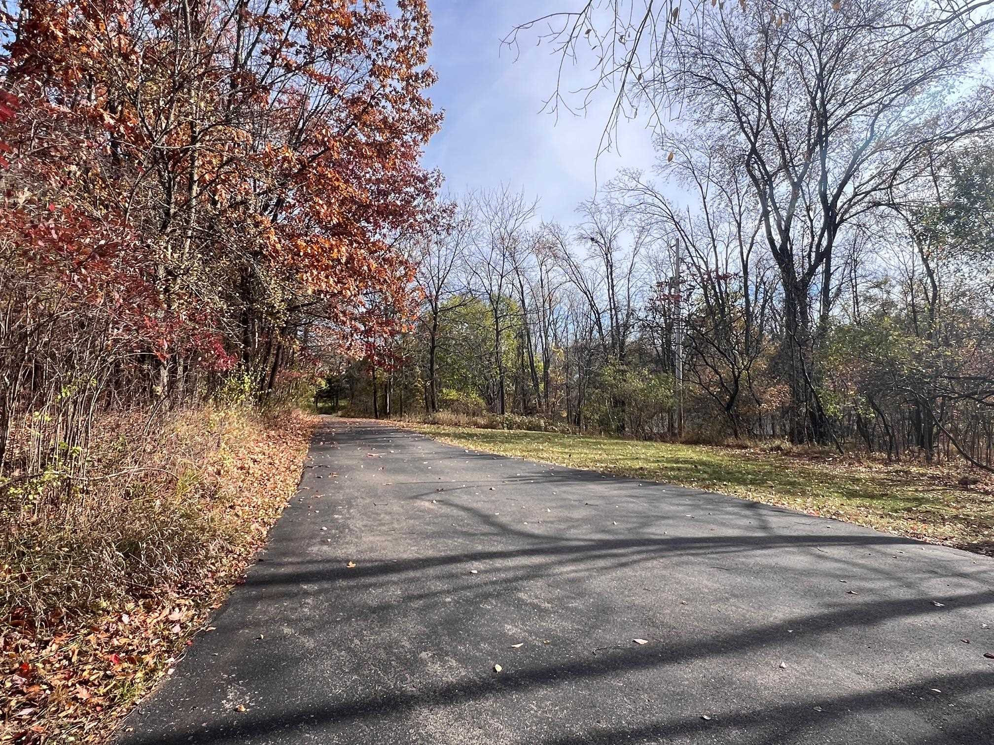 10008 M-52 Highway, Perry, MI 48872 — Photo 41