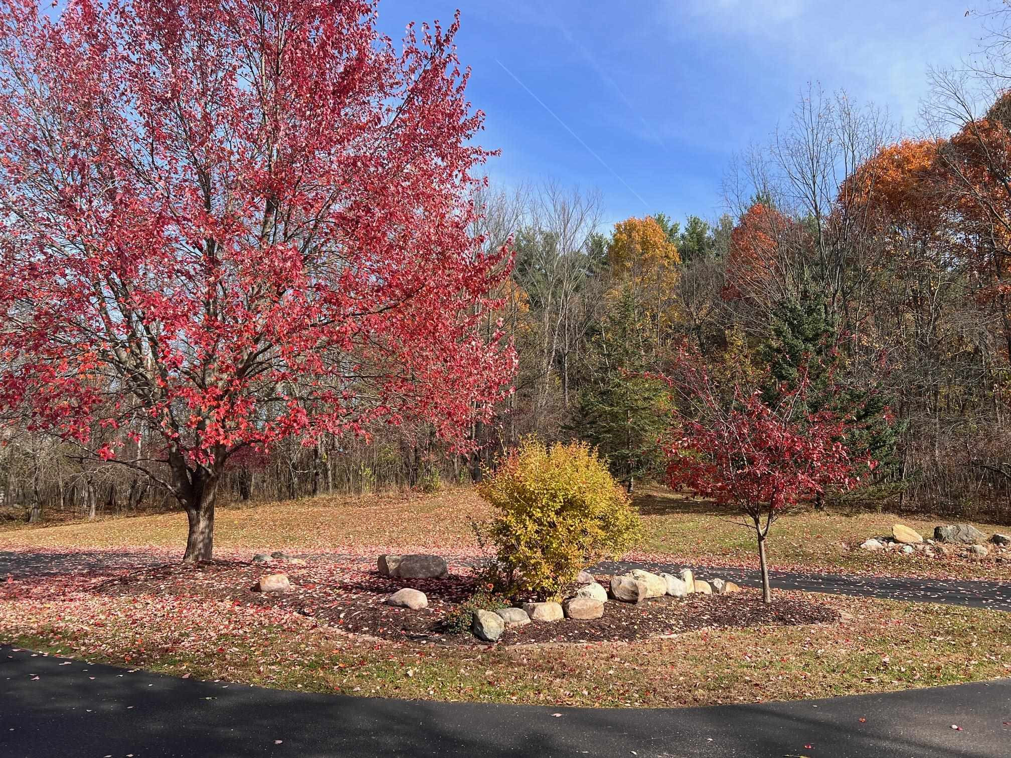 10008 M-52 Highway, Perry, MI 48872 — Photo 42