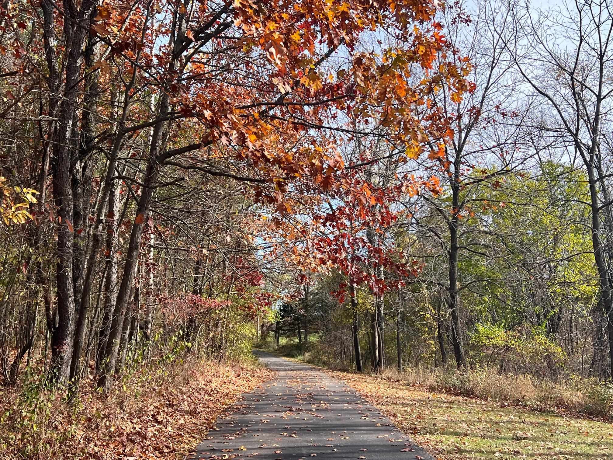 10008 M-52 Highway, Perry, MI 48872 — Photo 44