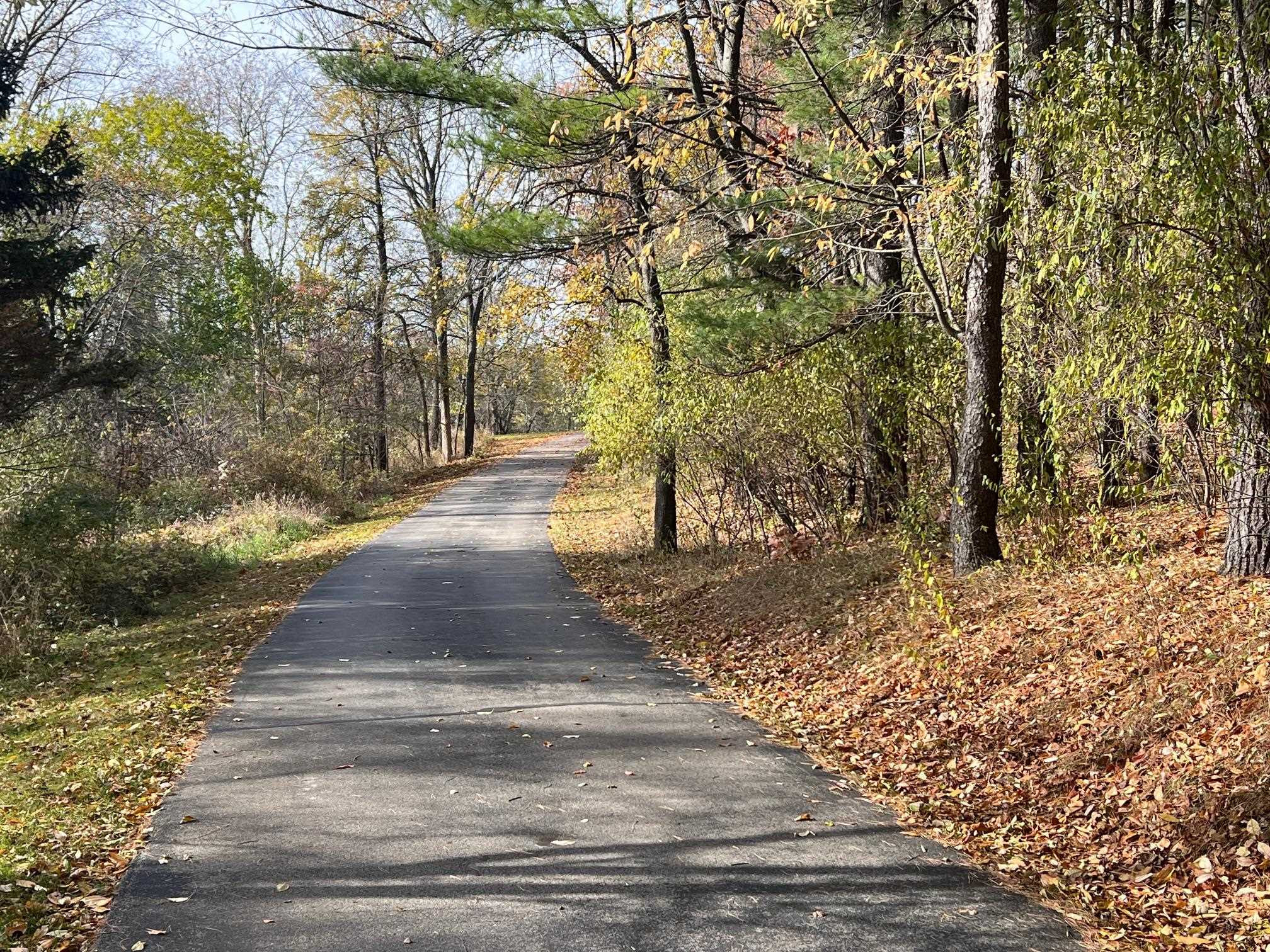 10008 M-52 Highway, Perry, MI 48872 — Photo 45