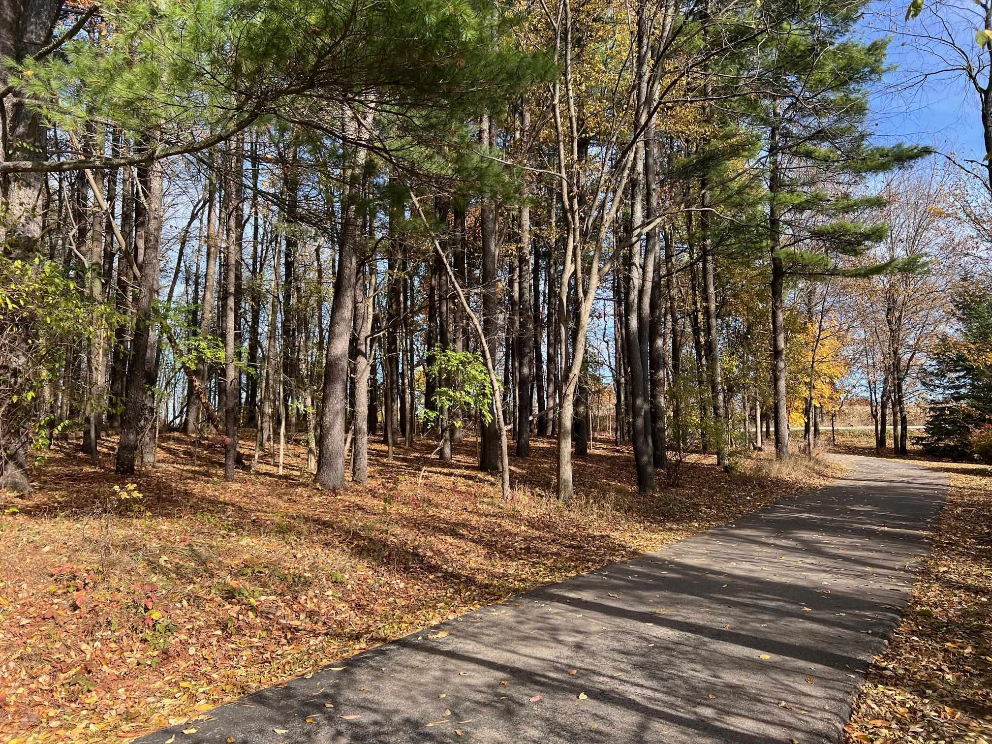 10008 M-52 Highway, Perry, MI 48872 — Photo 46