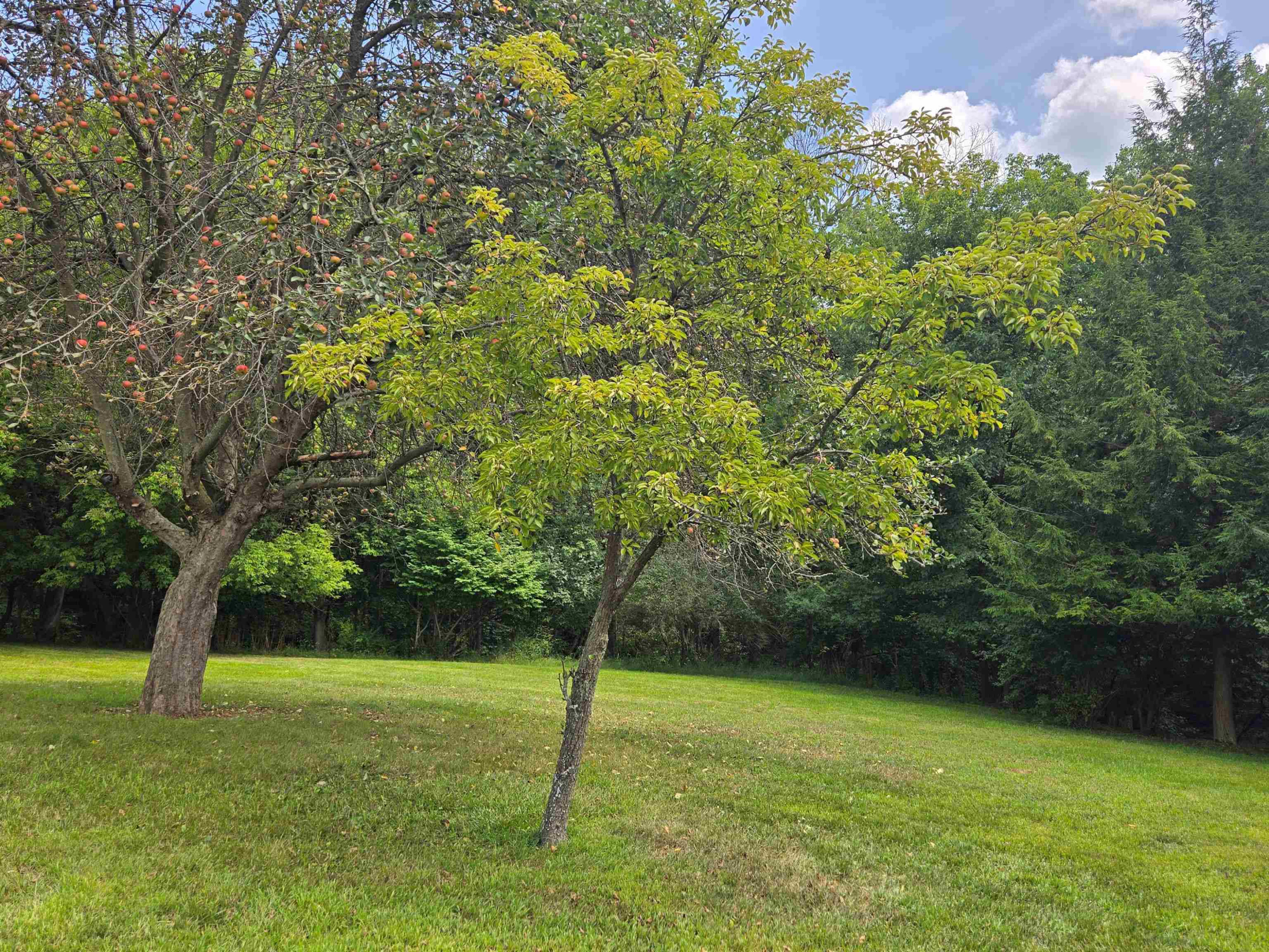 1640 Hendrie Road Road, Metamora, MI 48455 — Photo 52