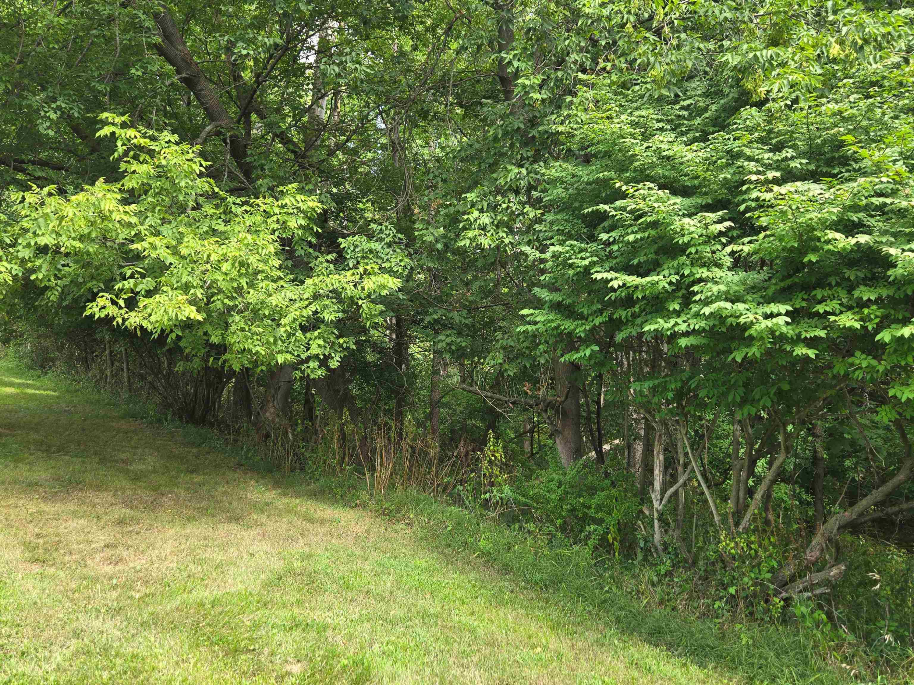 1640 Hendrie Road Road, Metamora, MI 48455 — Photo 55