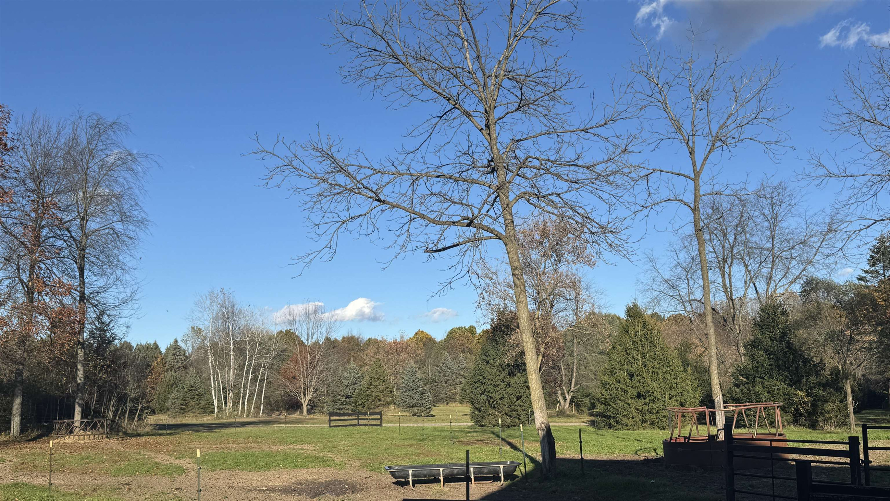 7684 W Beard Road, Perry, MI 48872 — Photo 5