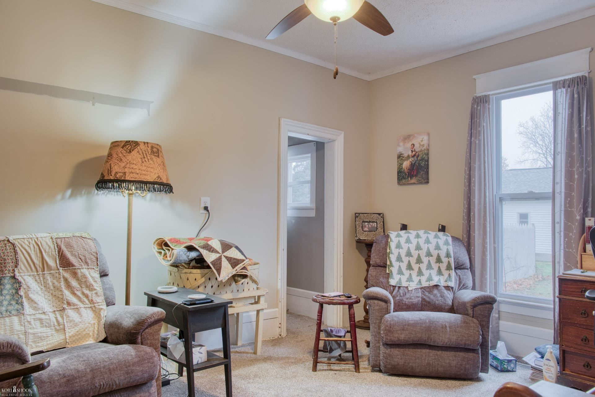 203 E Oak Street, Elsie, MI 48831 — Photo 14