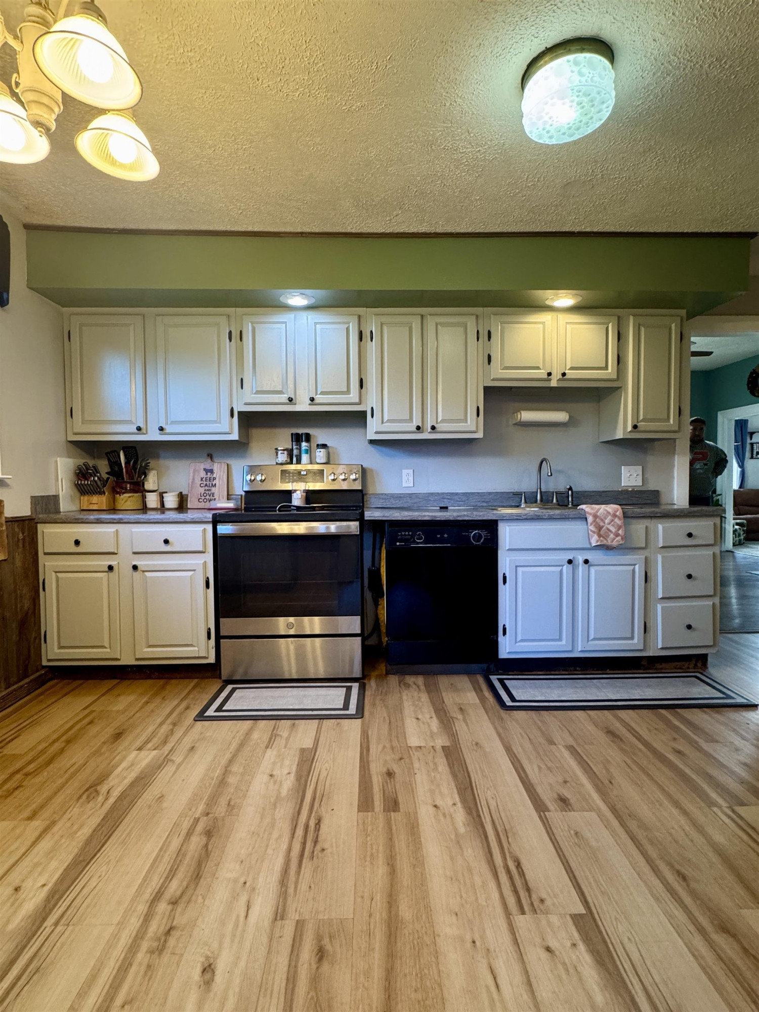 7684 W Beard Road, Perry, MI 48872 — Photo 10