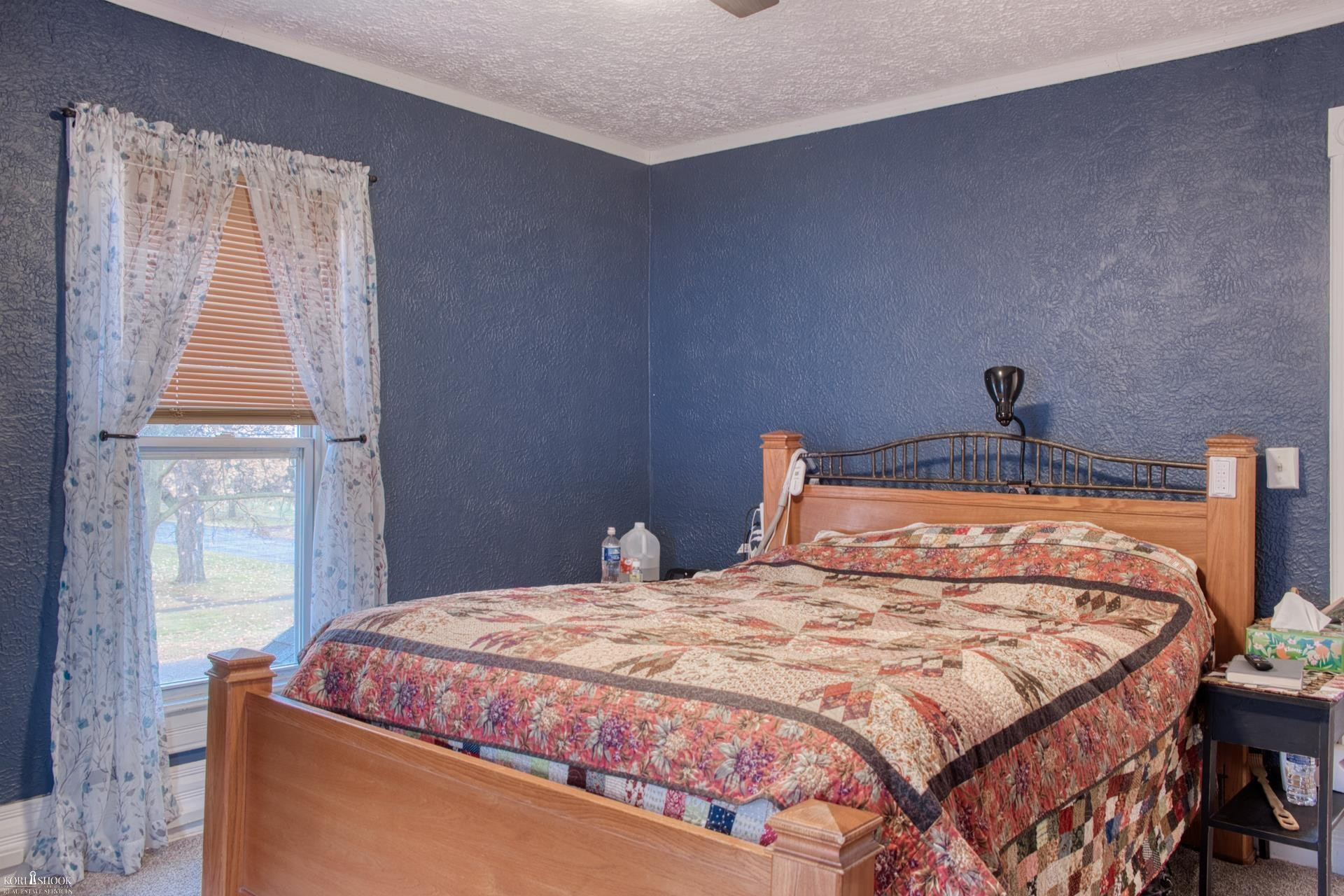 203 E Oak Street, Elsie, MI 48831 — Photo 18