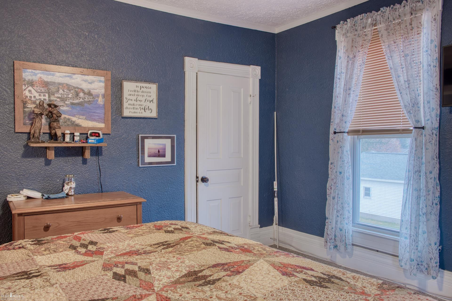203 E Oak Street, Elsie, MI 48831 — Photo 20