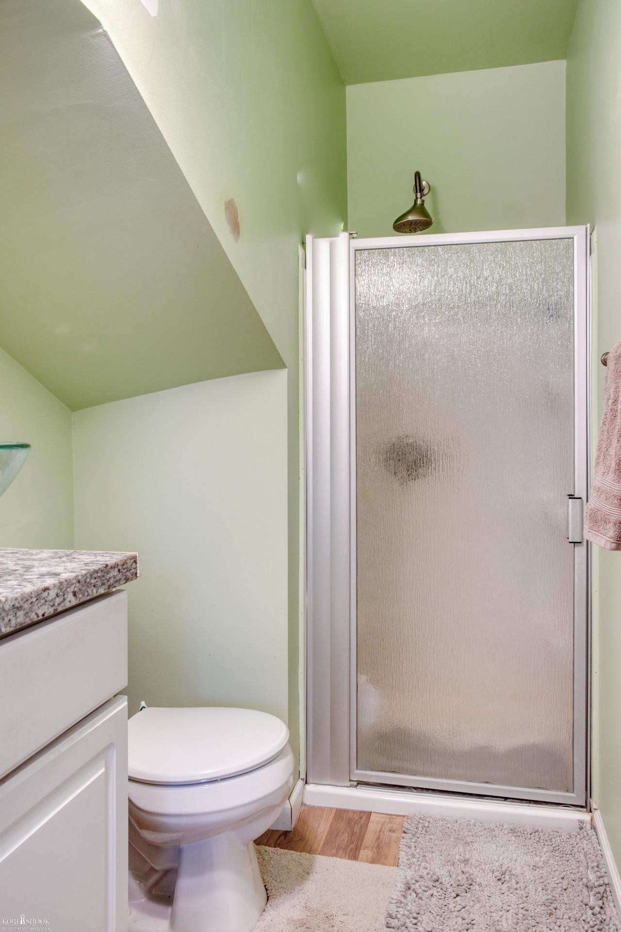 203 E Oak Street, Elsie, MI 48831 — Photo 25