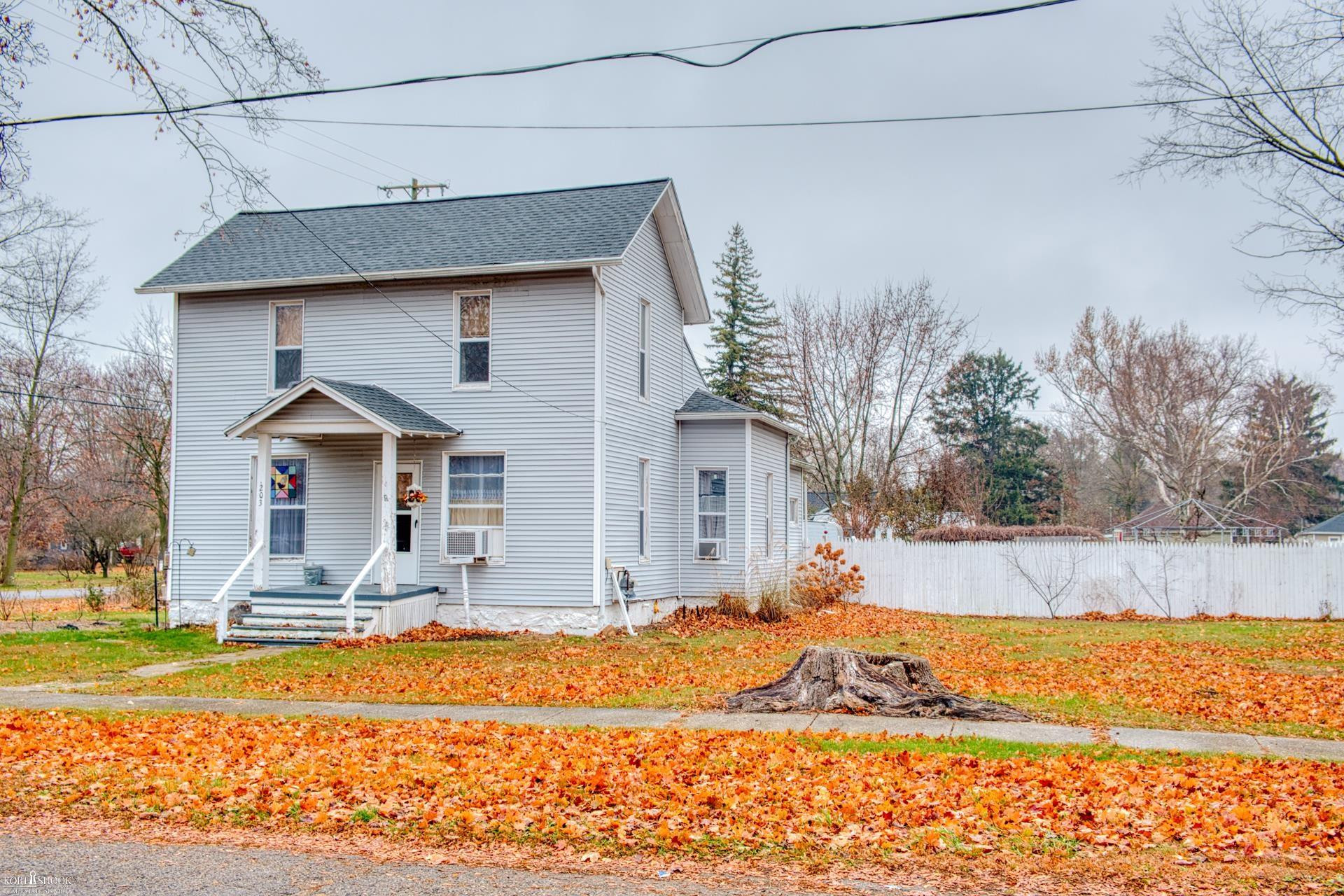 203 E Oak Street, Elsie, MI 48831 — Photo 35