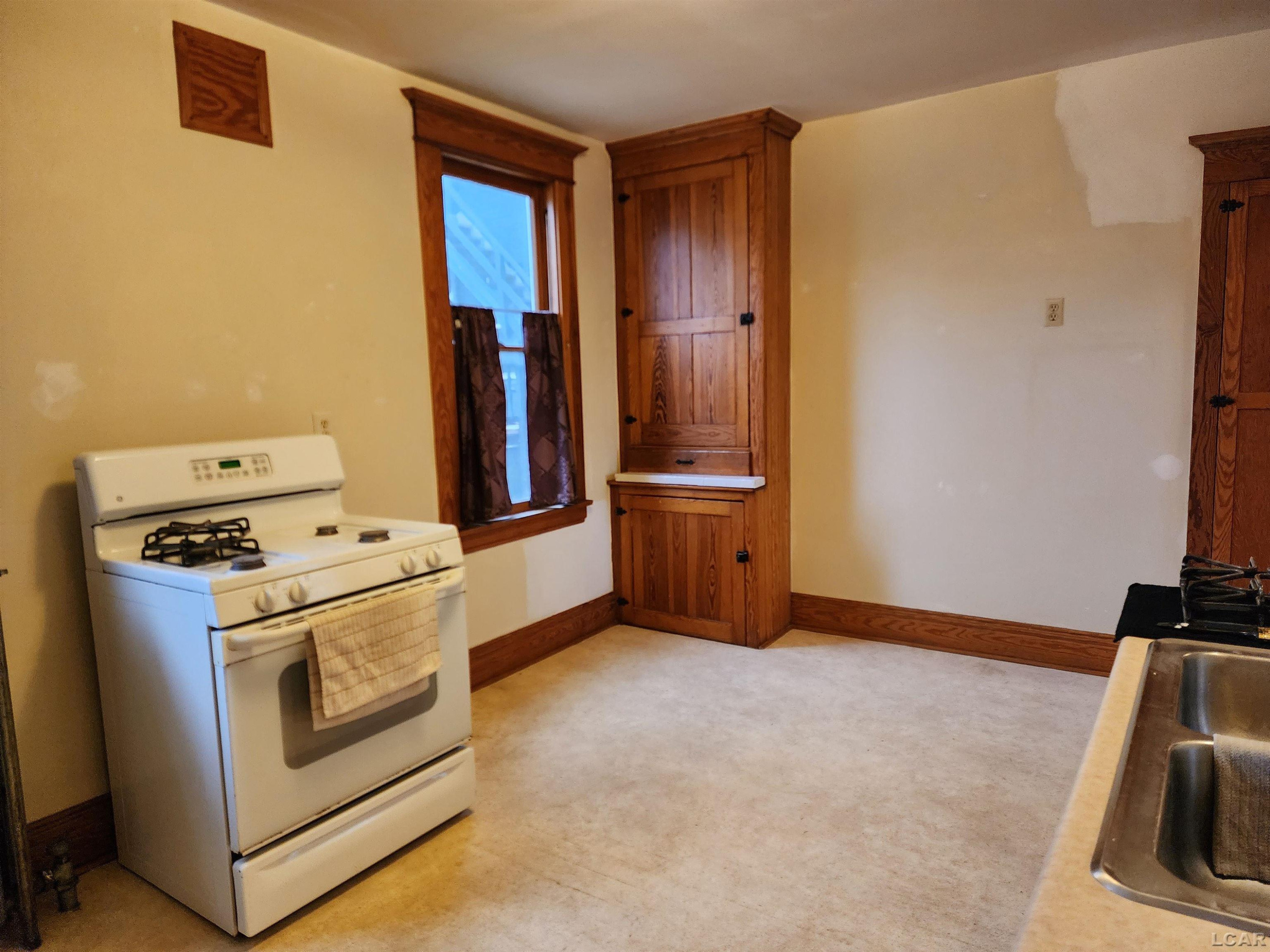 228 W Church Street, Adrian, MI 49221 — Photo 8
