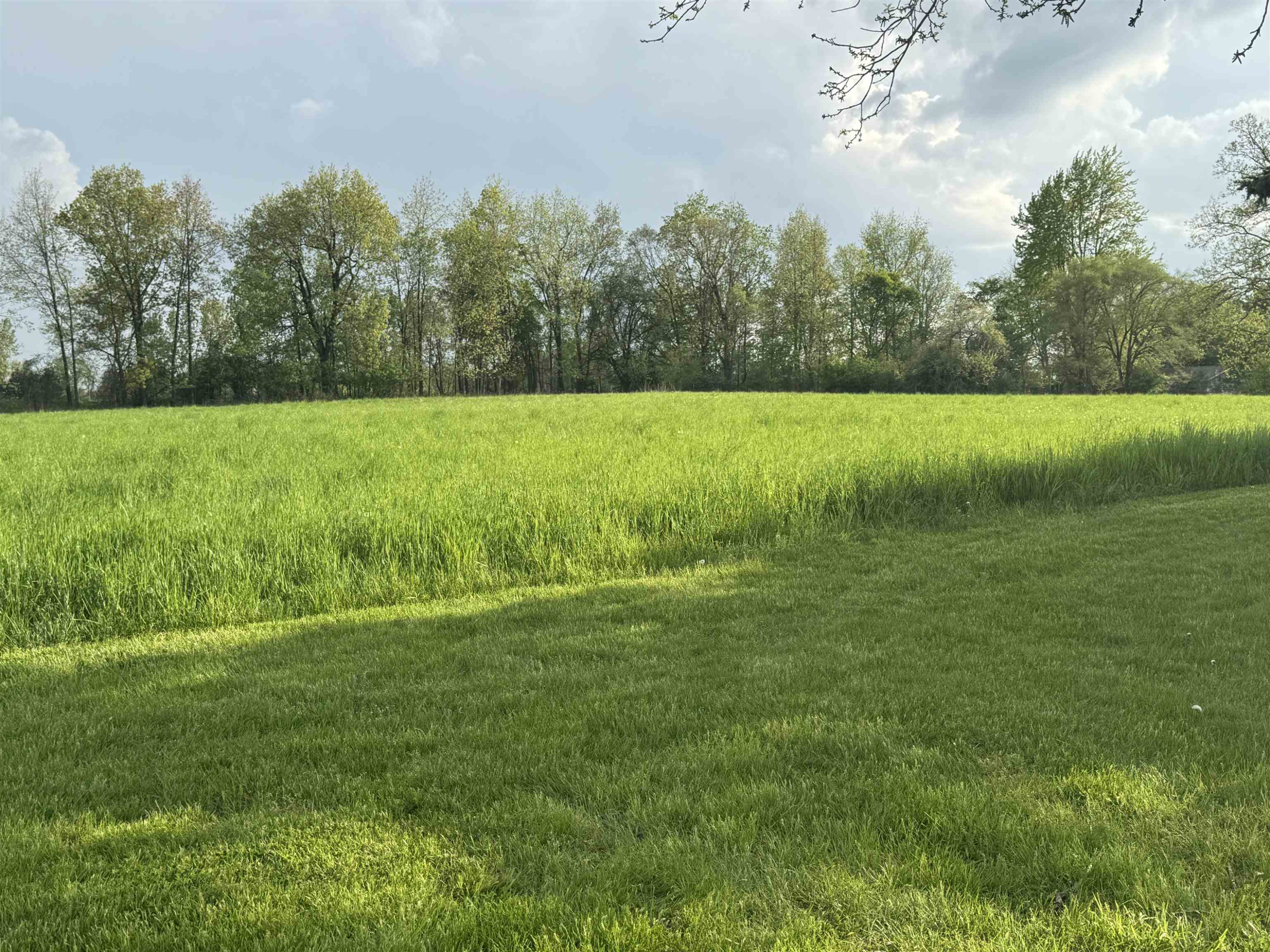 1627 S M-52 Highway, Owosso, MI 48867 — Photo 57