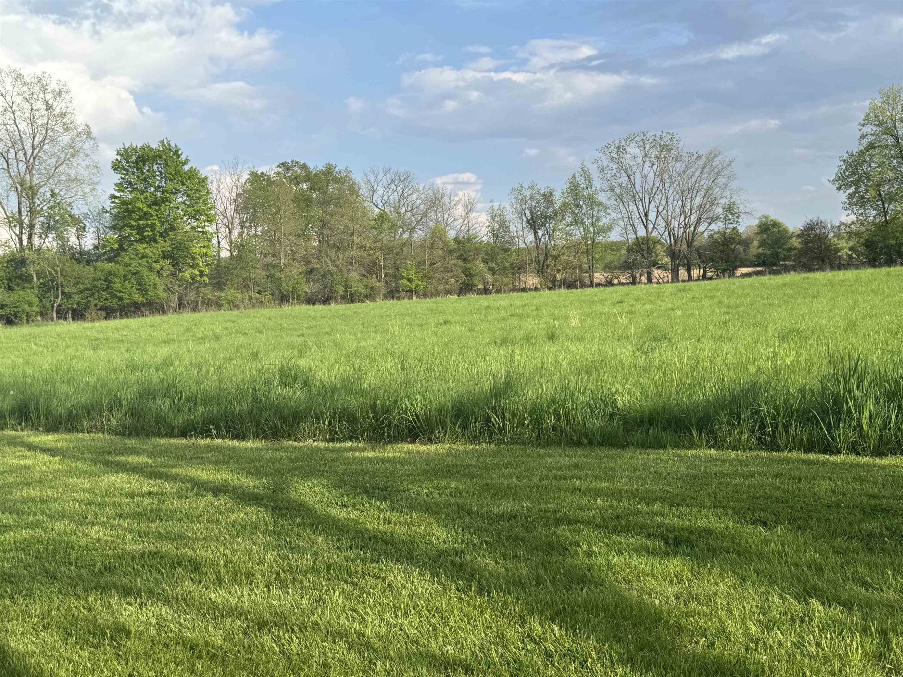 1627 S M-52 Highway, Owosso, MI 48867 — Photo 58