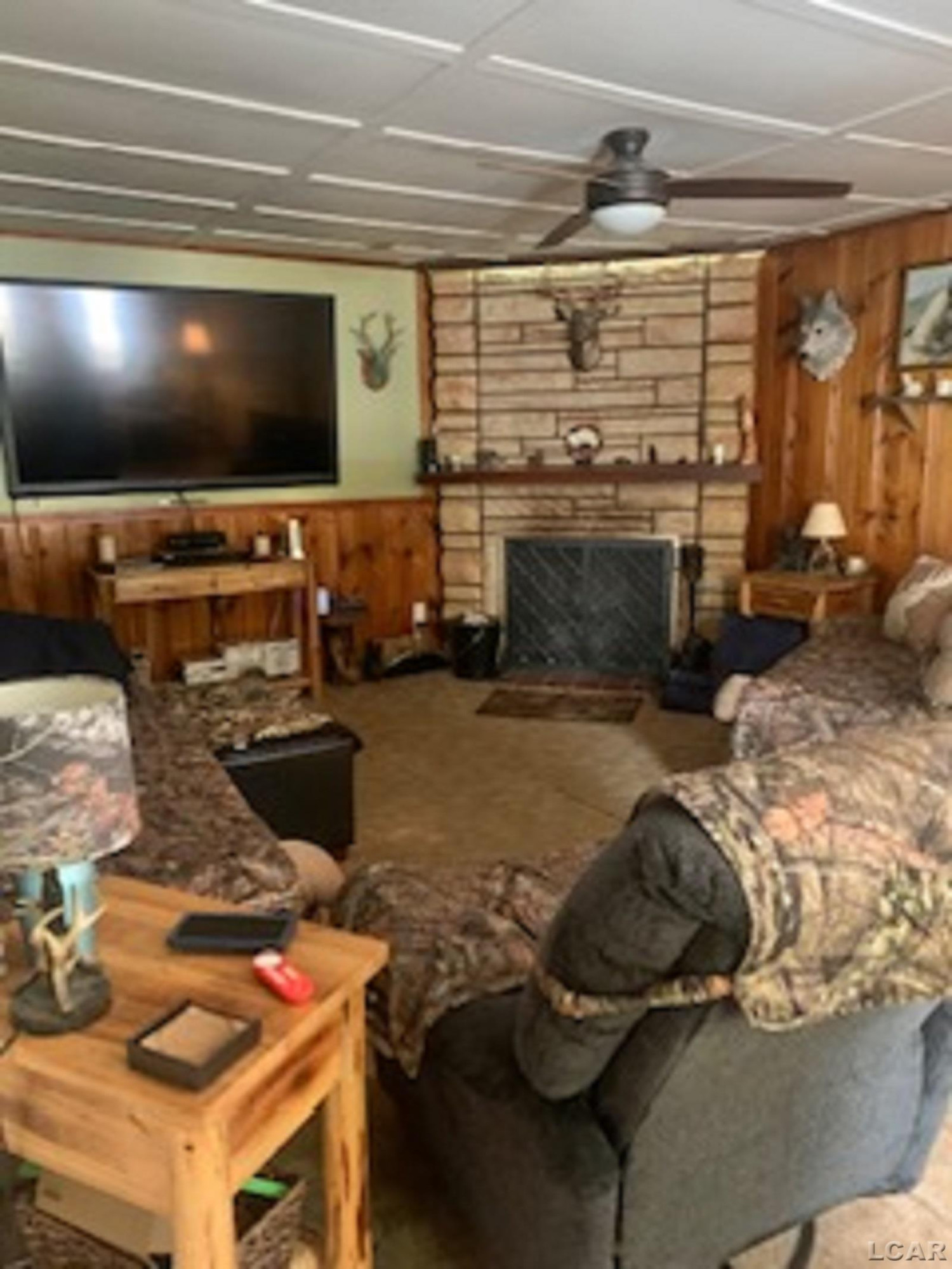 314 Whitney Avenue, Morenci, MI 49256 — Photo 3