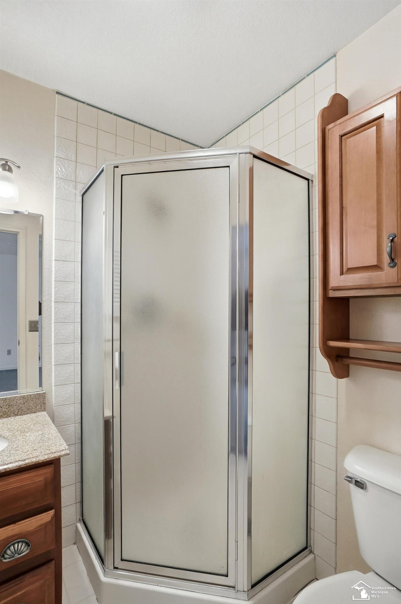 5470 Emerson Drive, MI 49267 — Photo 48