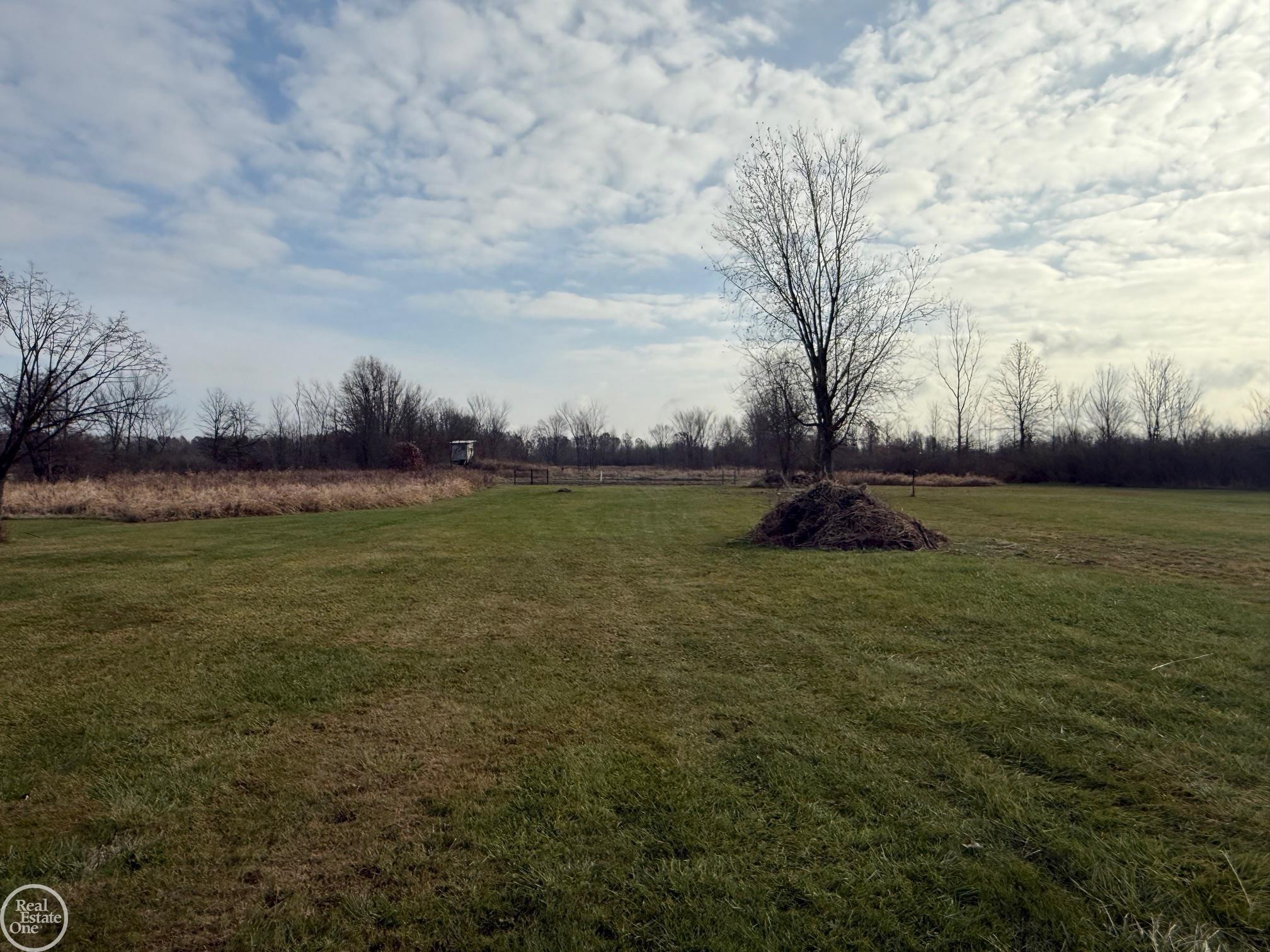 6301 Meldrum Road, MI — Photo 9