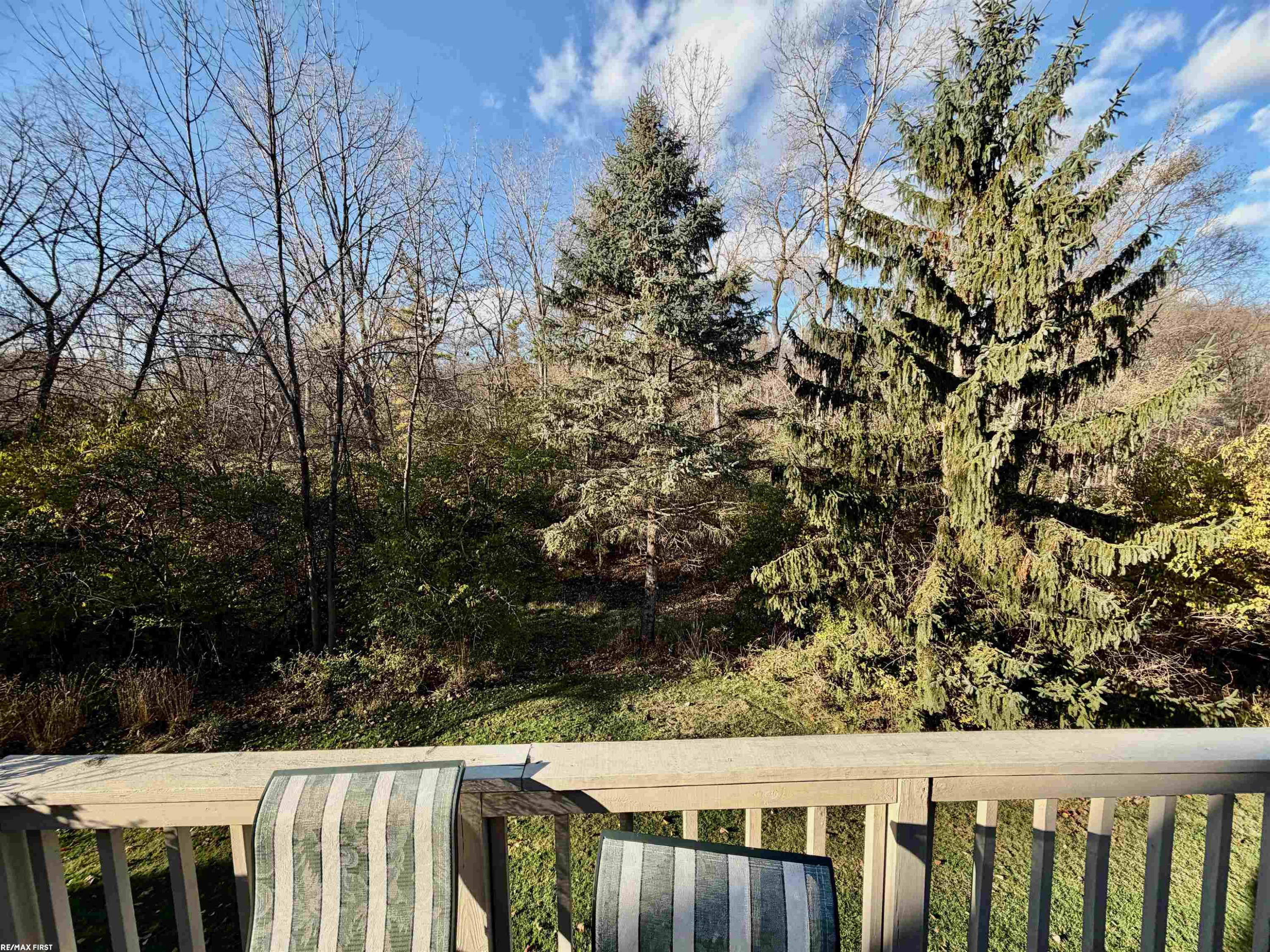 22200 River Ridge Trail Trail, MI 48335 — Photo 38