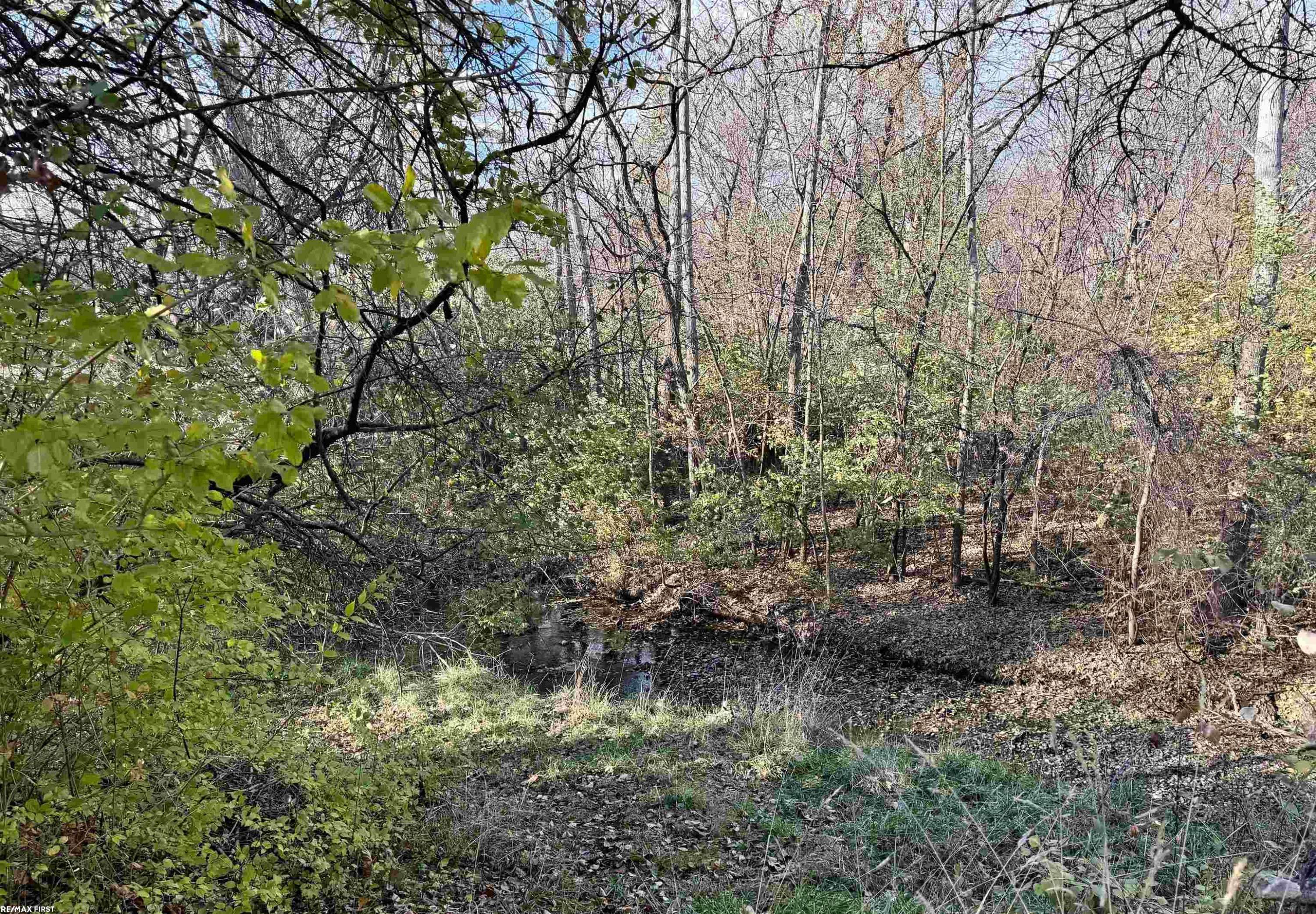 22200 River Ridge Trail Trail, MI 48335 — Photo 61
