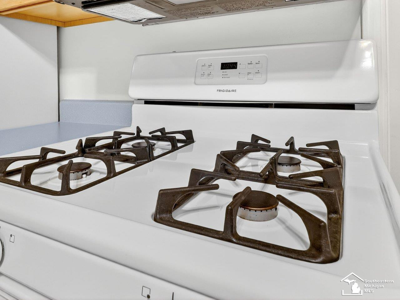 12165 Wegner Road, Riga, MI 49276 — Photo 19