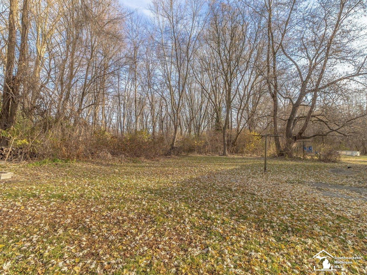 155 Virginia Street, Carleton, MI 48117 — Photo 31