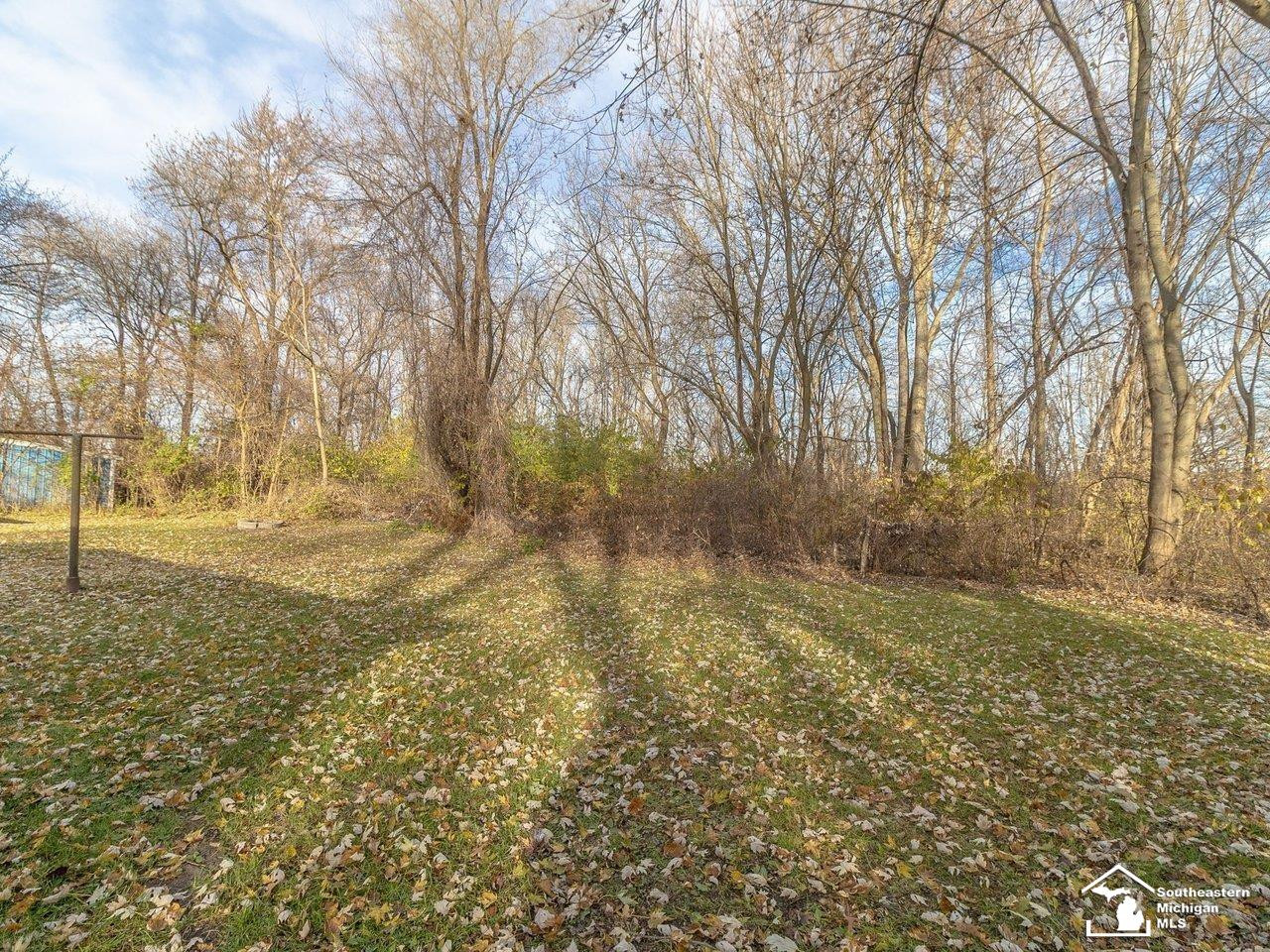 155 Virginia Street, Carleton, MI 48117 — Photo 32