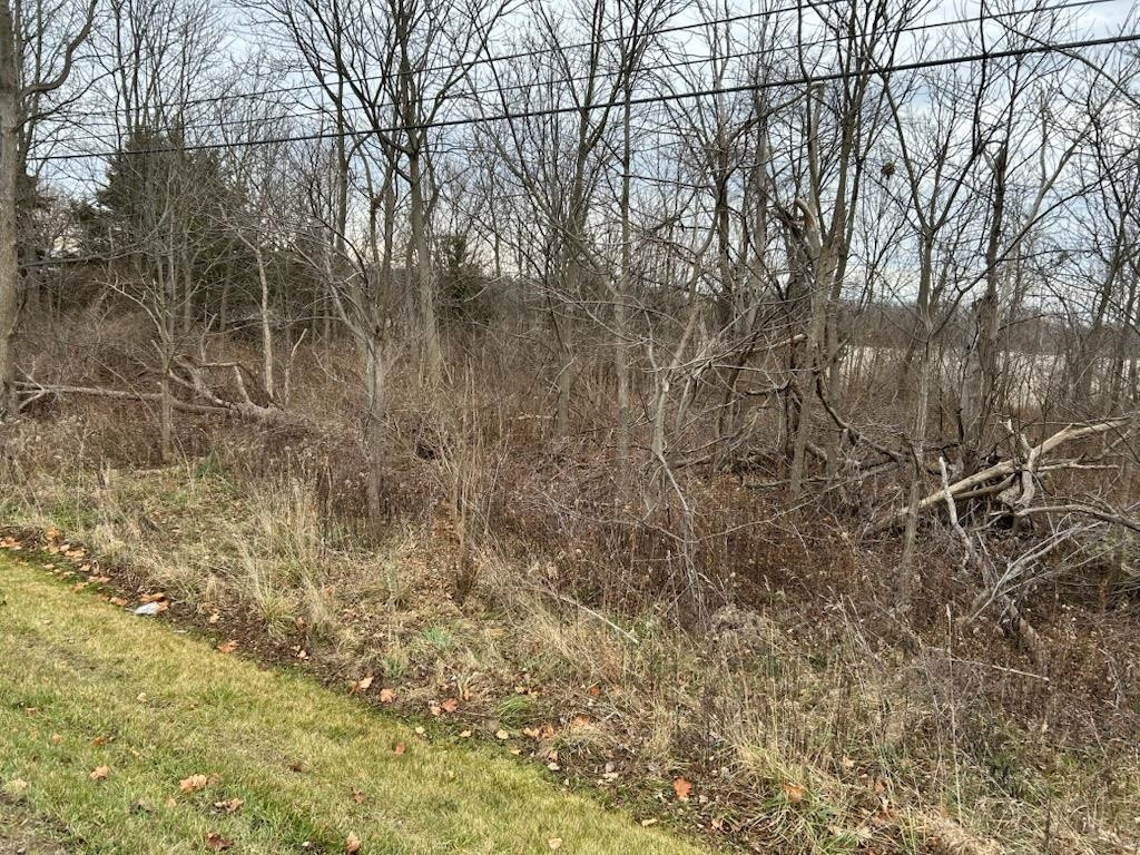 Search Homes for Sale