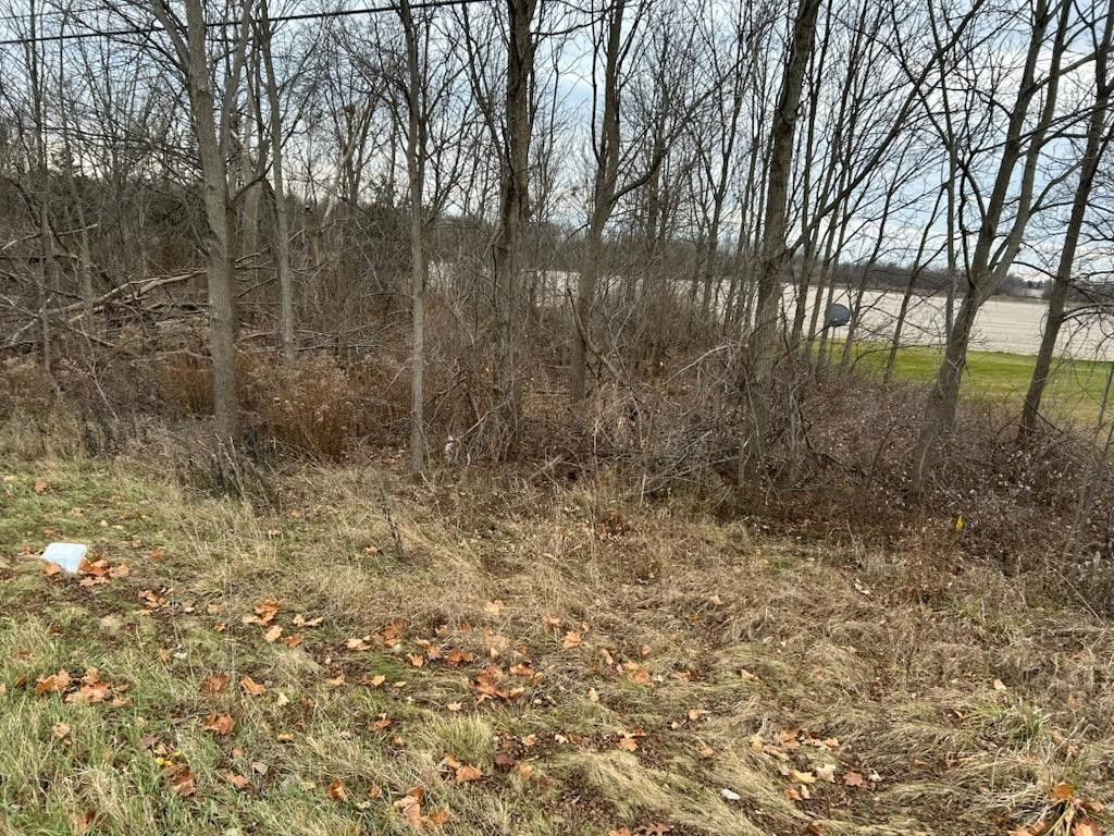 7690 M-71 Highway, Durand, MI 48429 — Photo 2