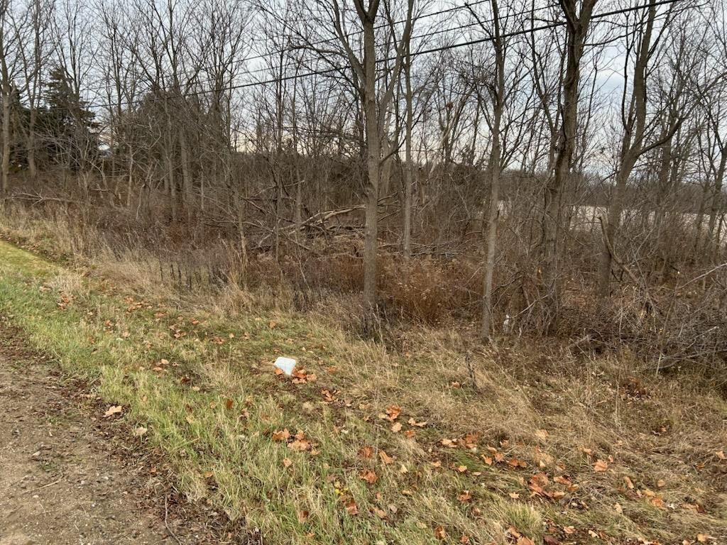 7690 M-71 Highway, Durand, MI 48429 — Photo 3