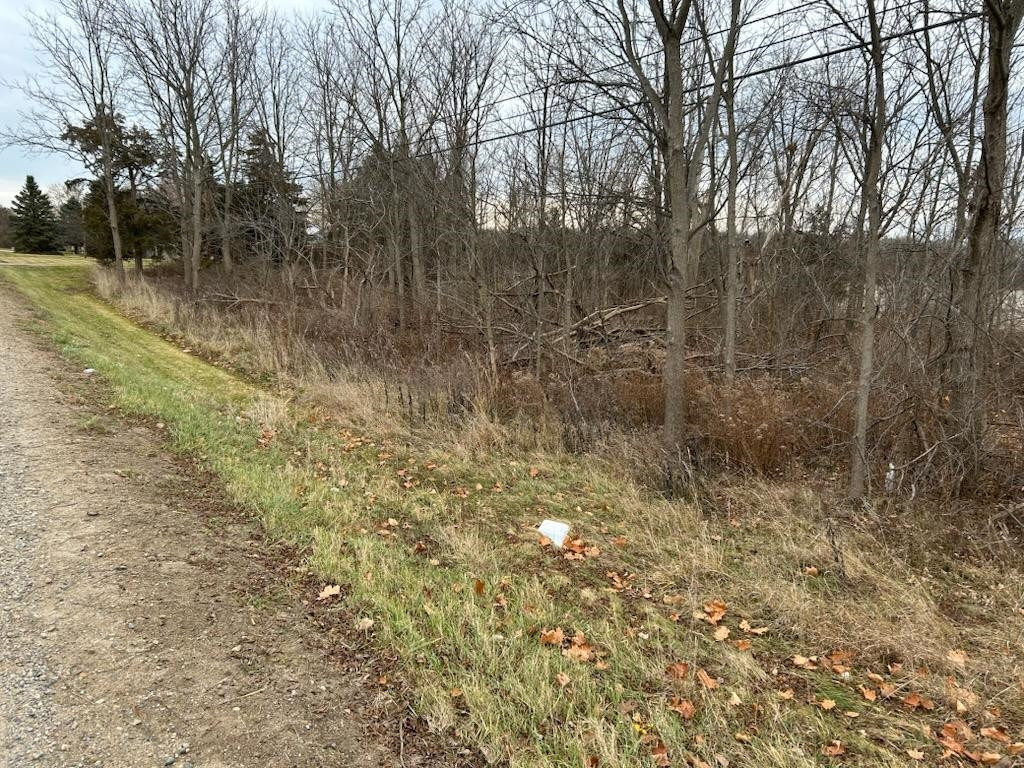 7690 M-71 Highway, Durand, MI 48429 — Photo 4