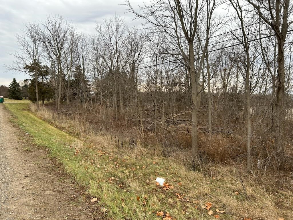 7690 M-71 Highway, Durand, MI 48429 — Photo 5