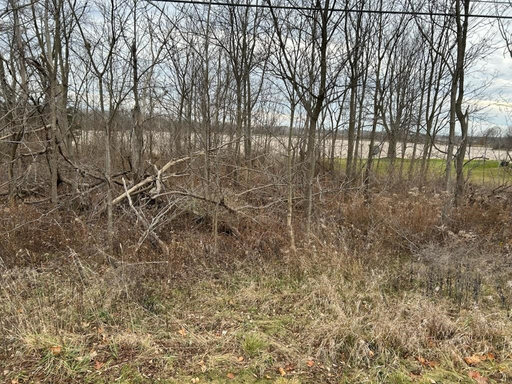 7690 M-71 Highway, Durand, MI 48429 — Photo 8