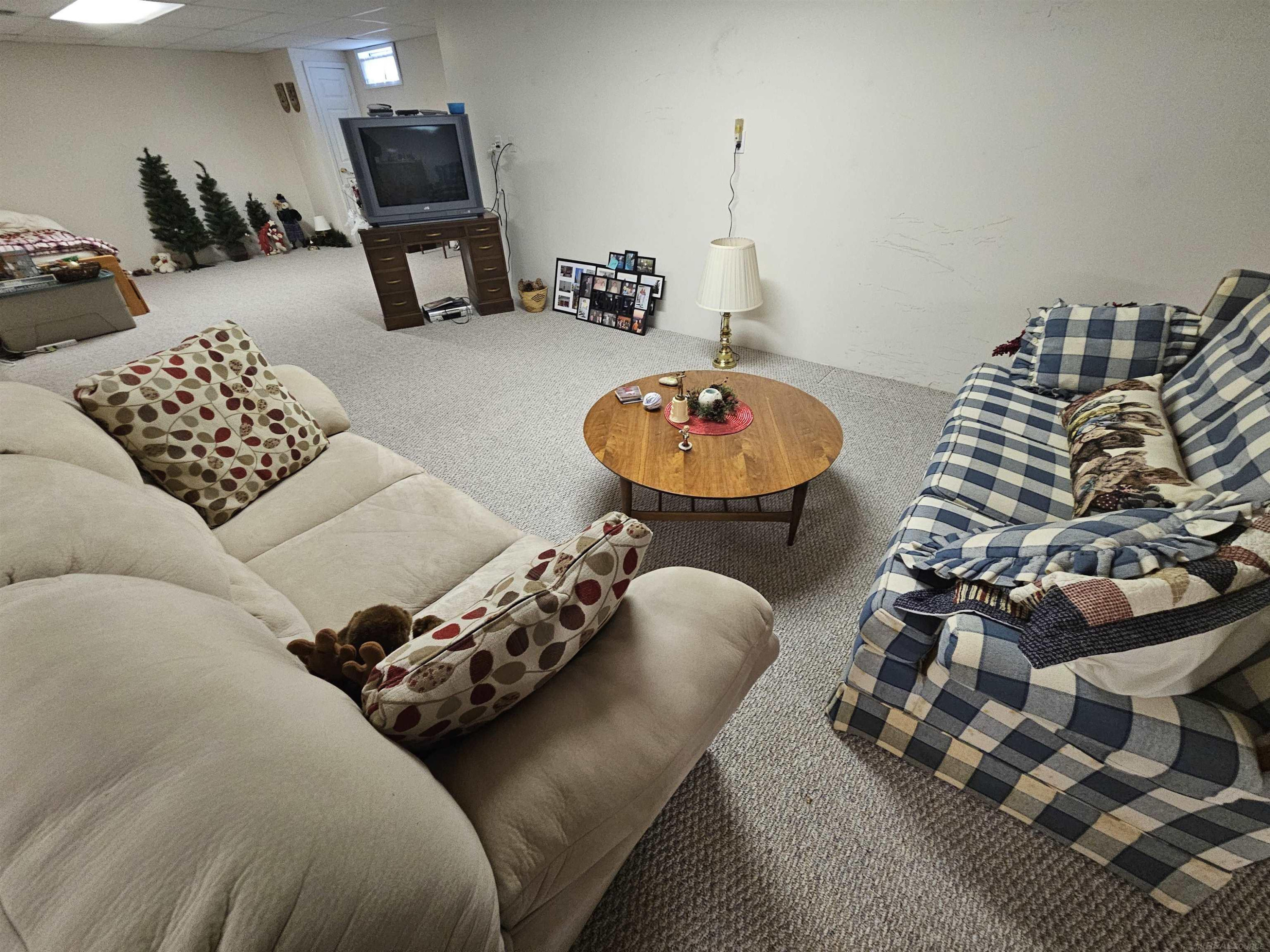 5394 BABCOCK Road, Lexington, MI 48450 — Photo 46