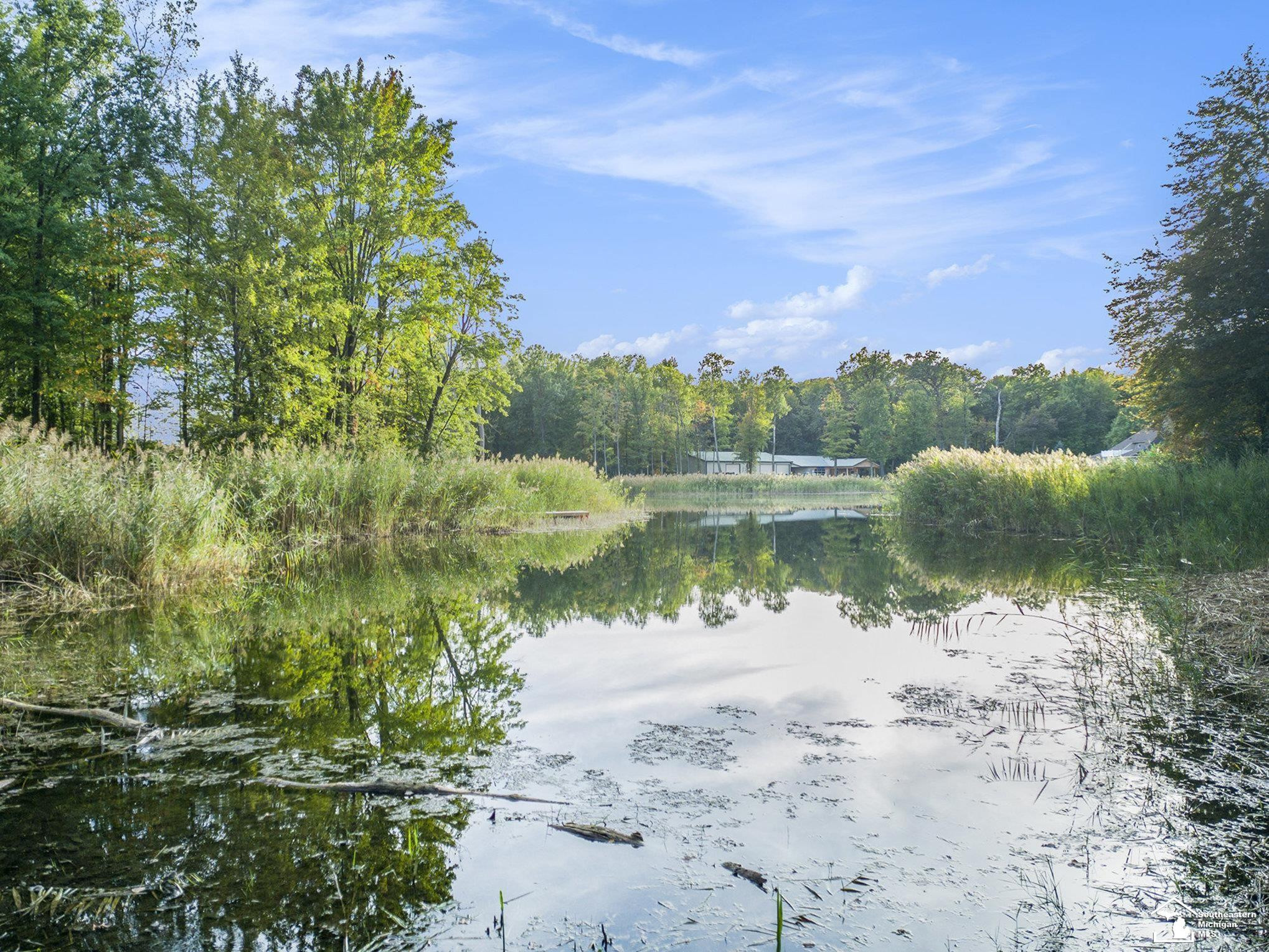 12855 W Albain Road, Petersburg, MI 49270 — Photo 41