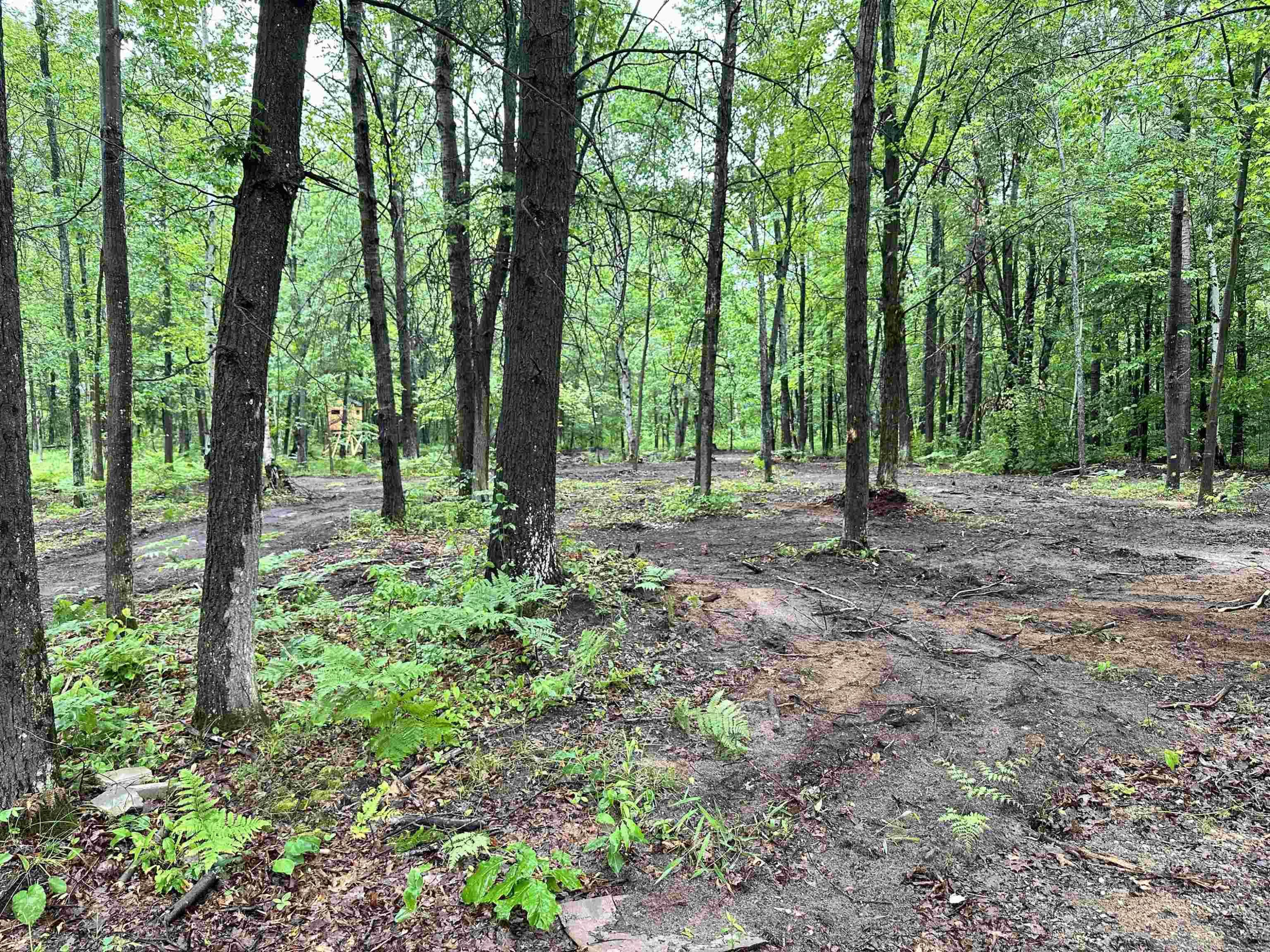 0000 W 3/8 w Athey N 61 Road, A4, Harrison, MI 48625 — Photo 12