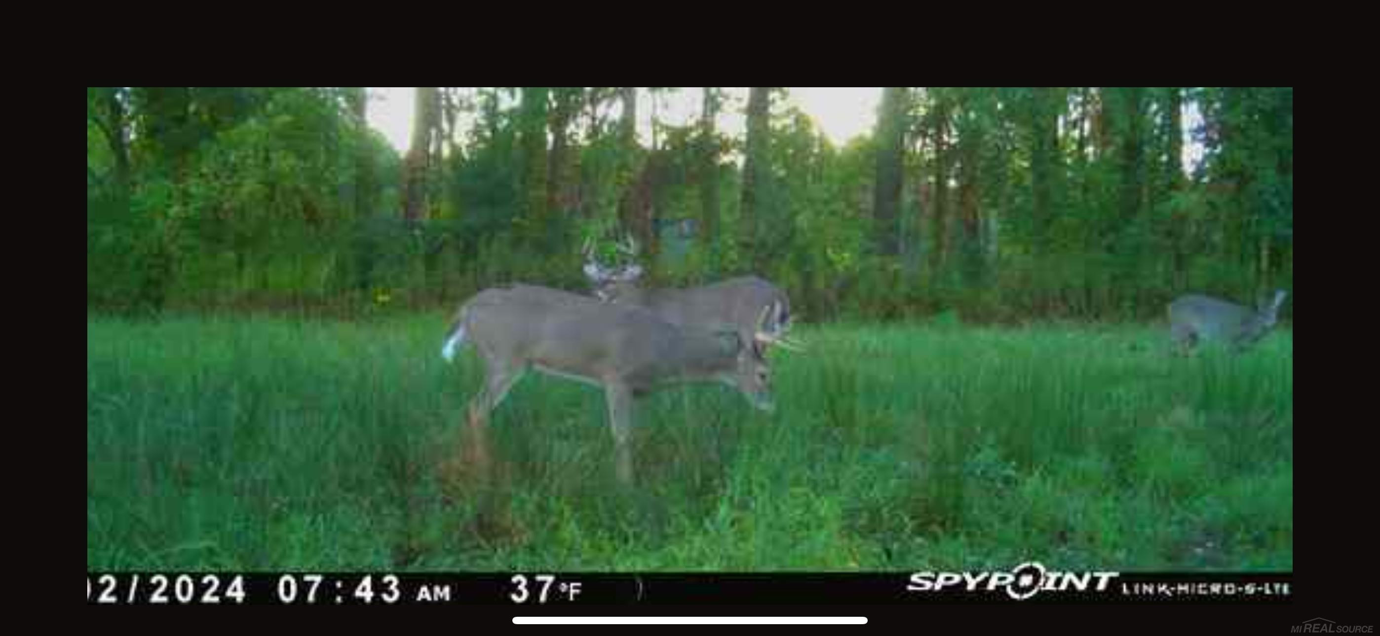 0000 W 3/8 w Athey N 61 Road, A4, Harrison, MI 48625 — Photo 16