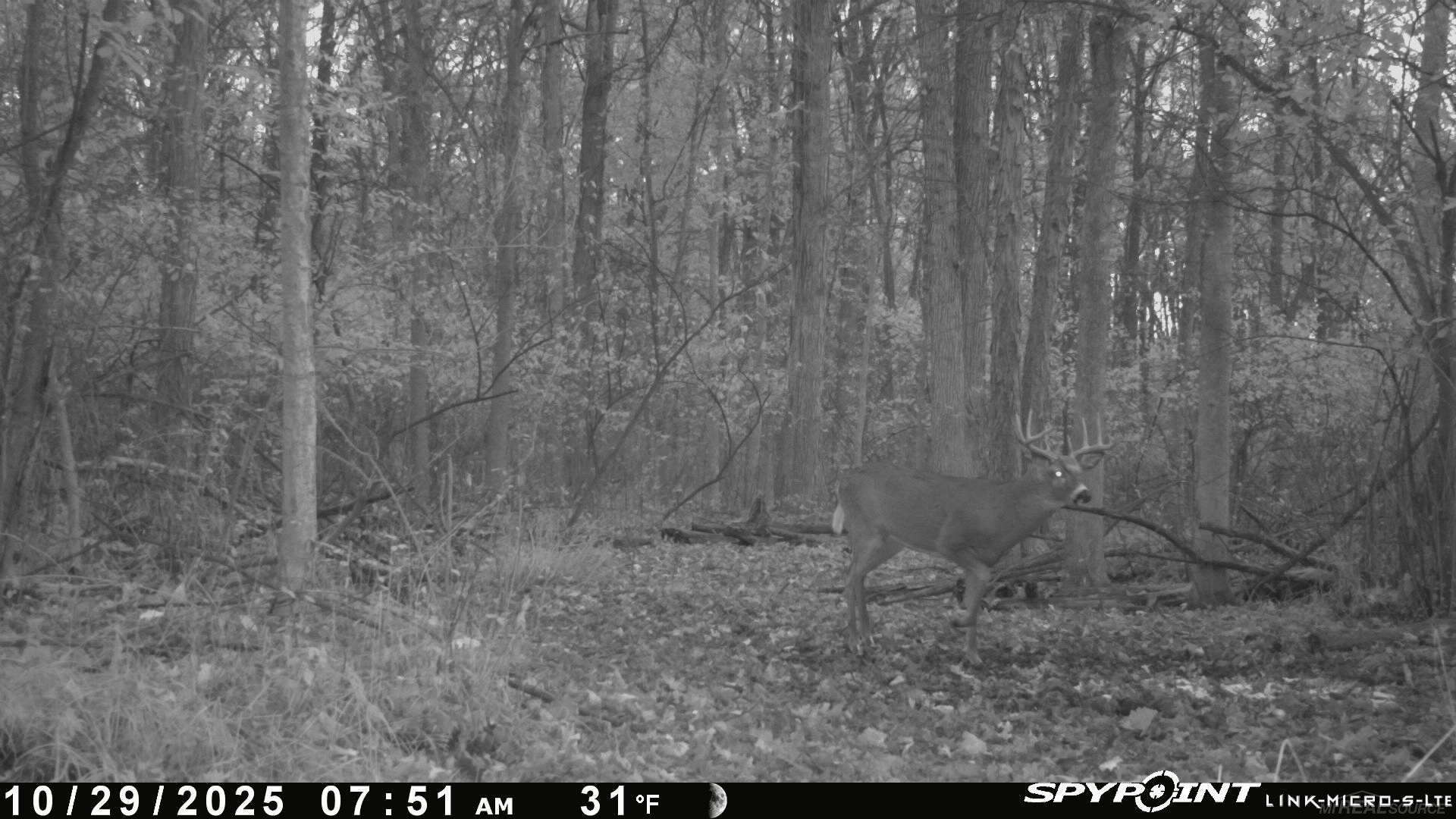 0000 W 3/8 w Athey N 61 Road, A4, Harrison, MI 48625 — Photo 18