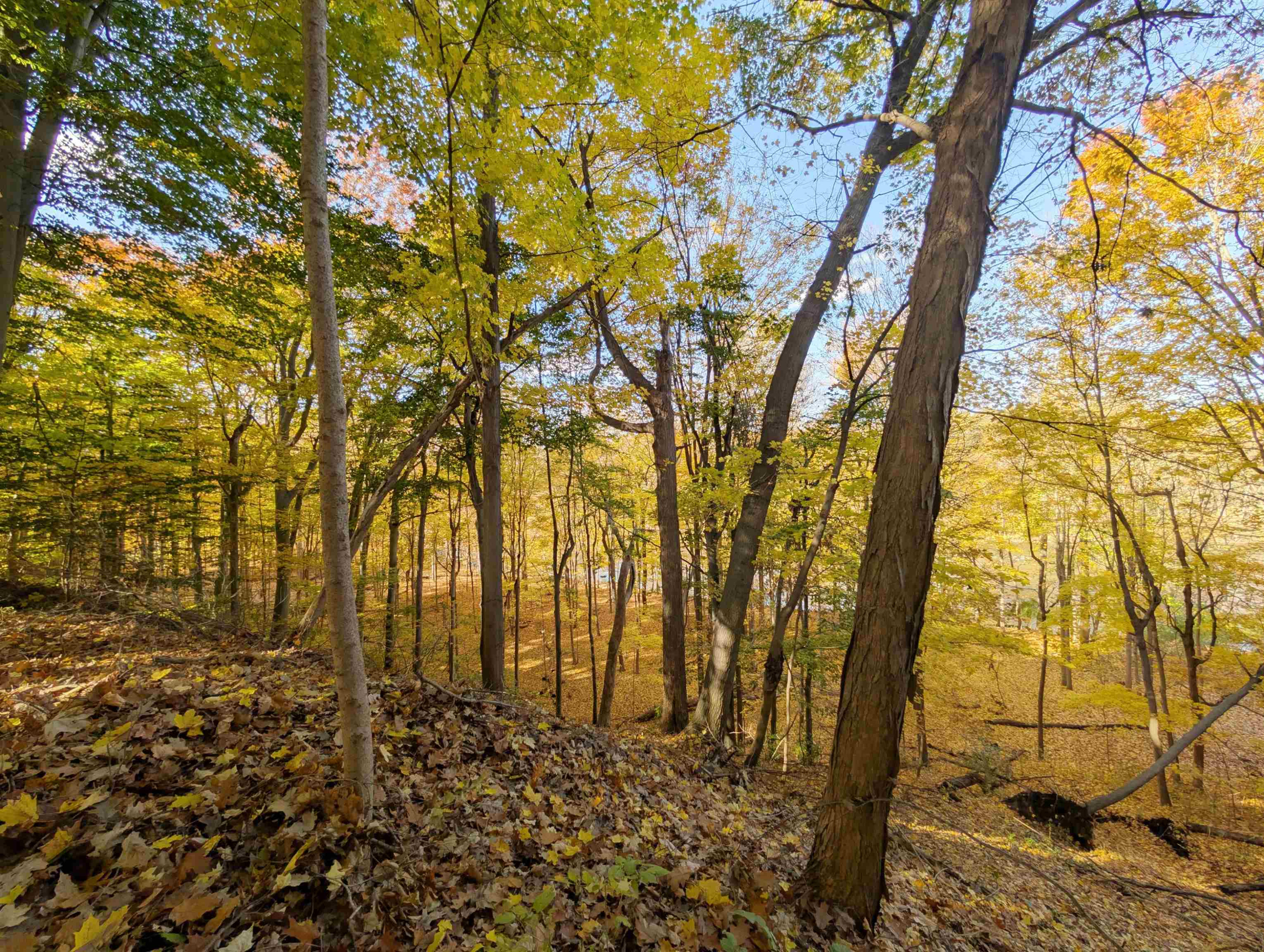 5315 Chickasaw Trail, Flushing, MI 48433 — Photo 25