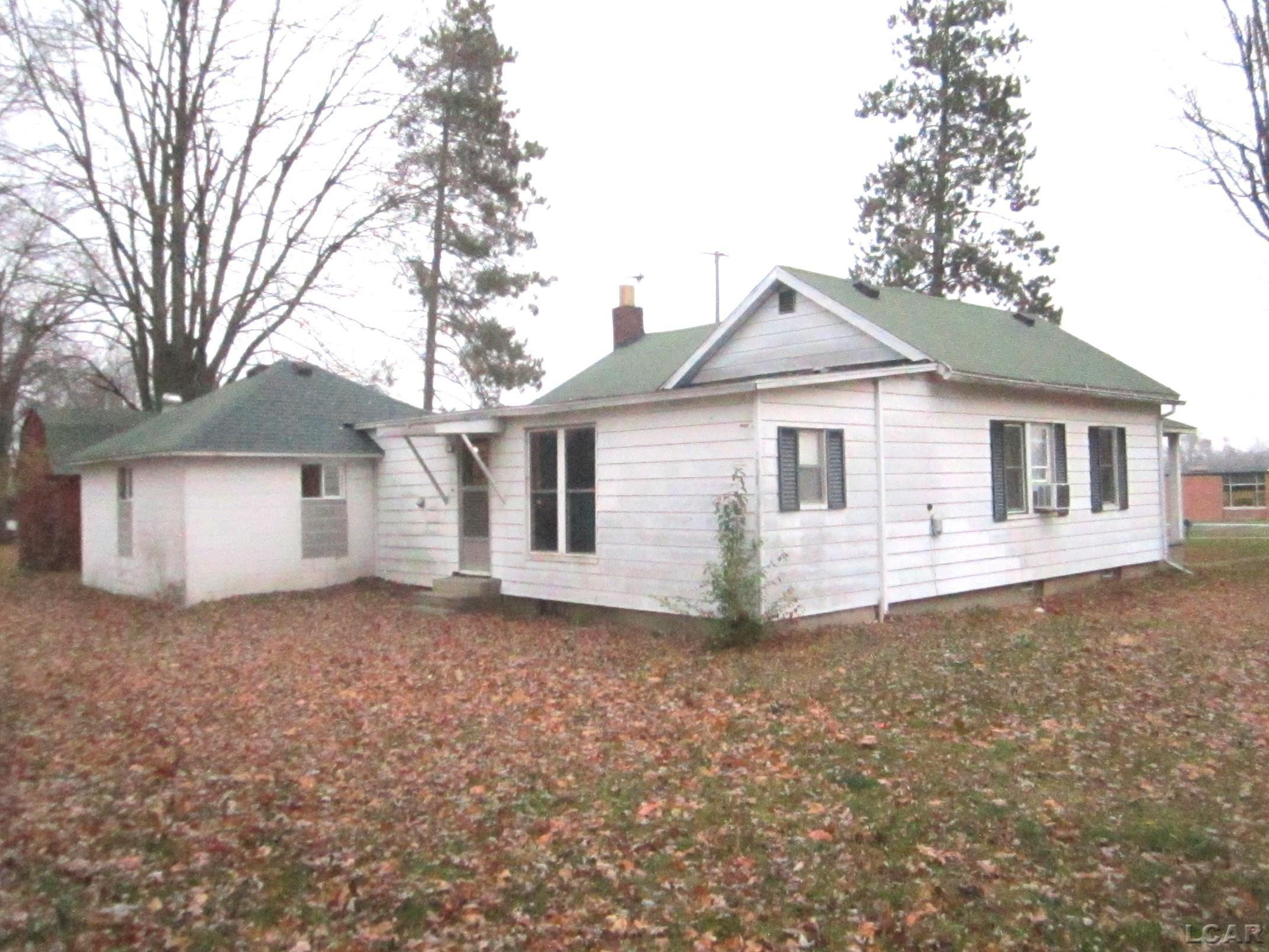 223 Page Street, Morenci, MI 49256 — Photo 3