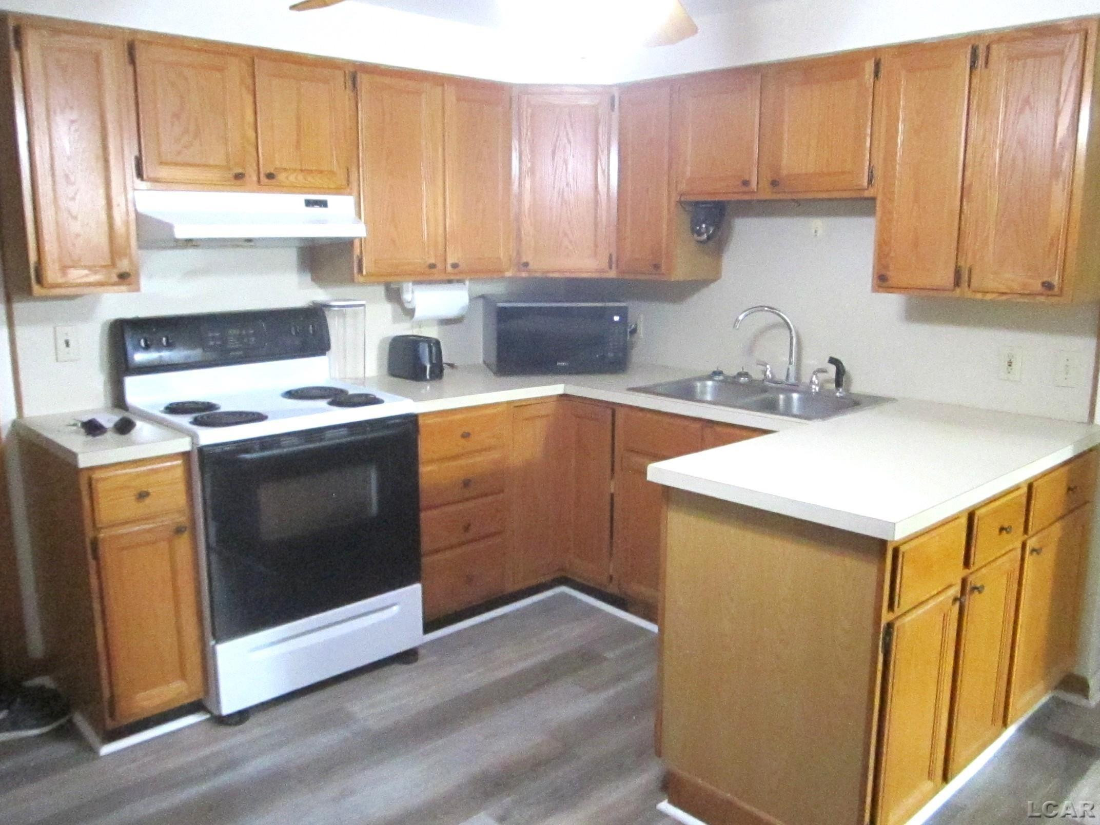 223 Page Street, Morenci, MI 49256 — Photo 6
