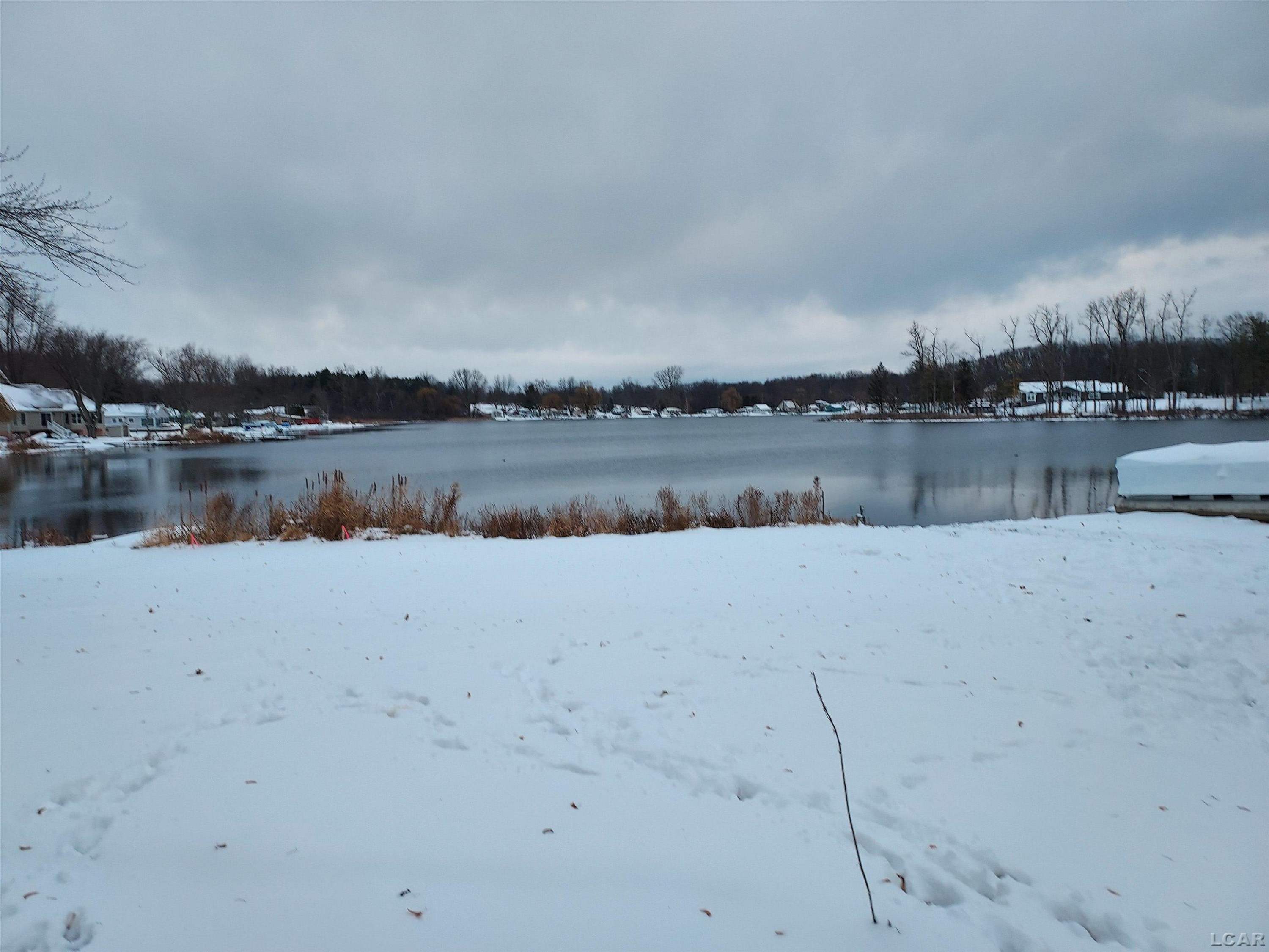 980 Marr Lake Drive, Onsted, MI 49265 — Photo 20