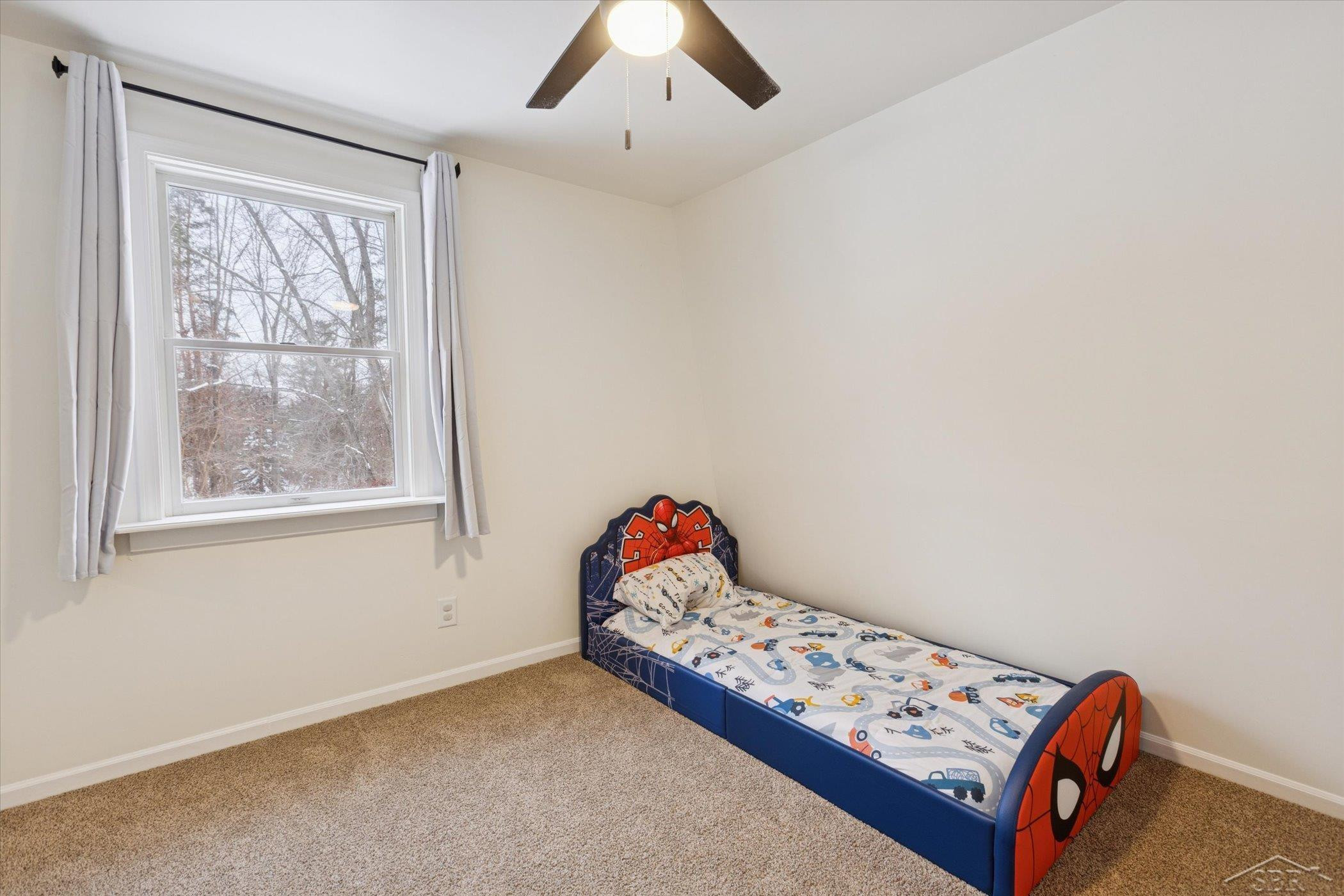 14454 Raucholz Road, Chesaning, MI 48616 — Photo 26