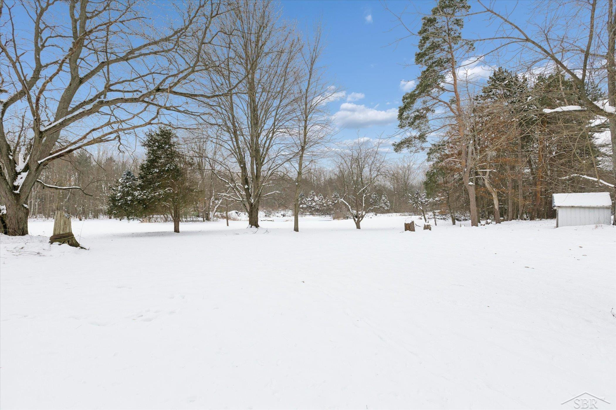 14454 Raucholz Road, Chesaning, MI 48616 — Photo 52