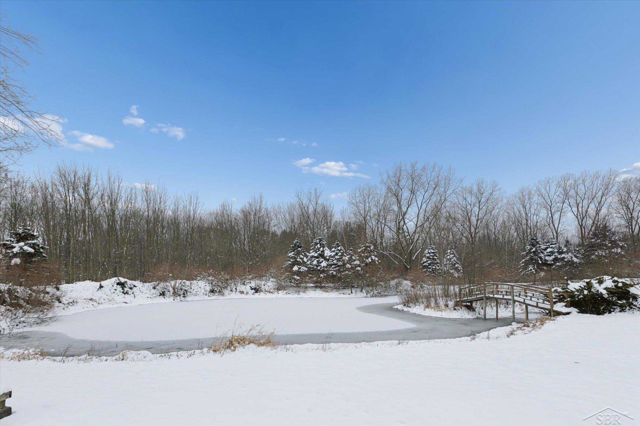 14454 Raucholz Road, Chesaning, MI 48616 — Photo 53