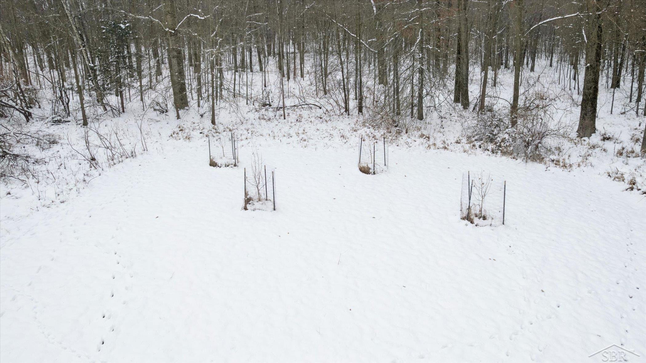 14454 Raucholz Road, Chesaning, MI 48616 — Photo 54
