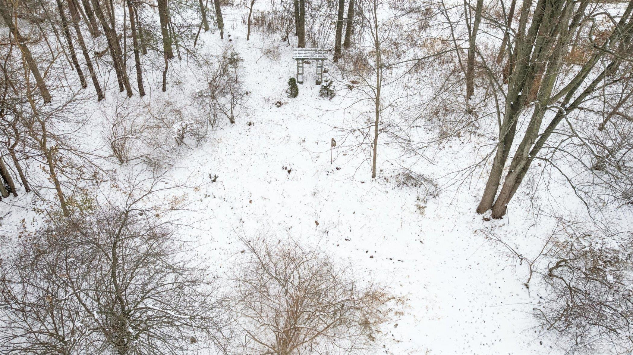 14454 Raucholz Road, Chesaning, MI 48616 — Photo 56